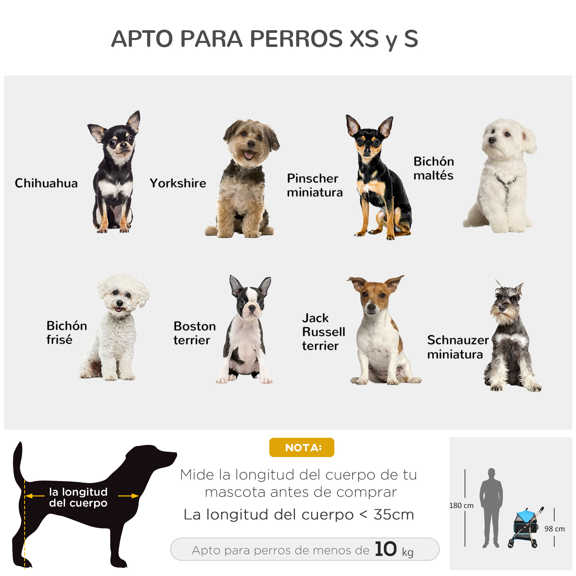 Diagrama con razas de perros. Incluye Chihuahua, Yorkshire, Pinscher miniatura y otros.