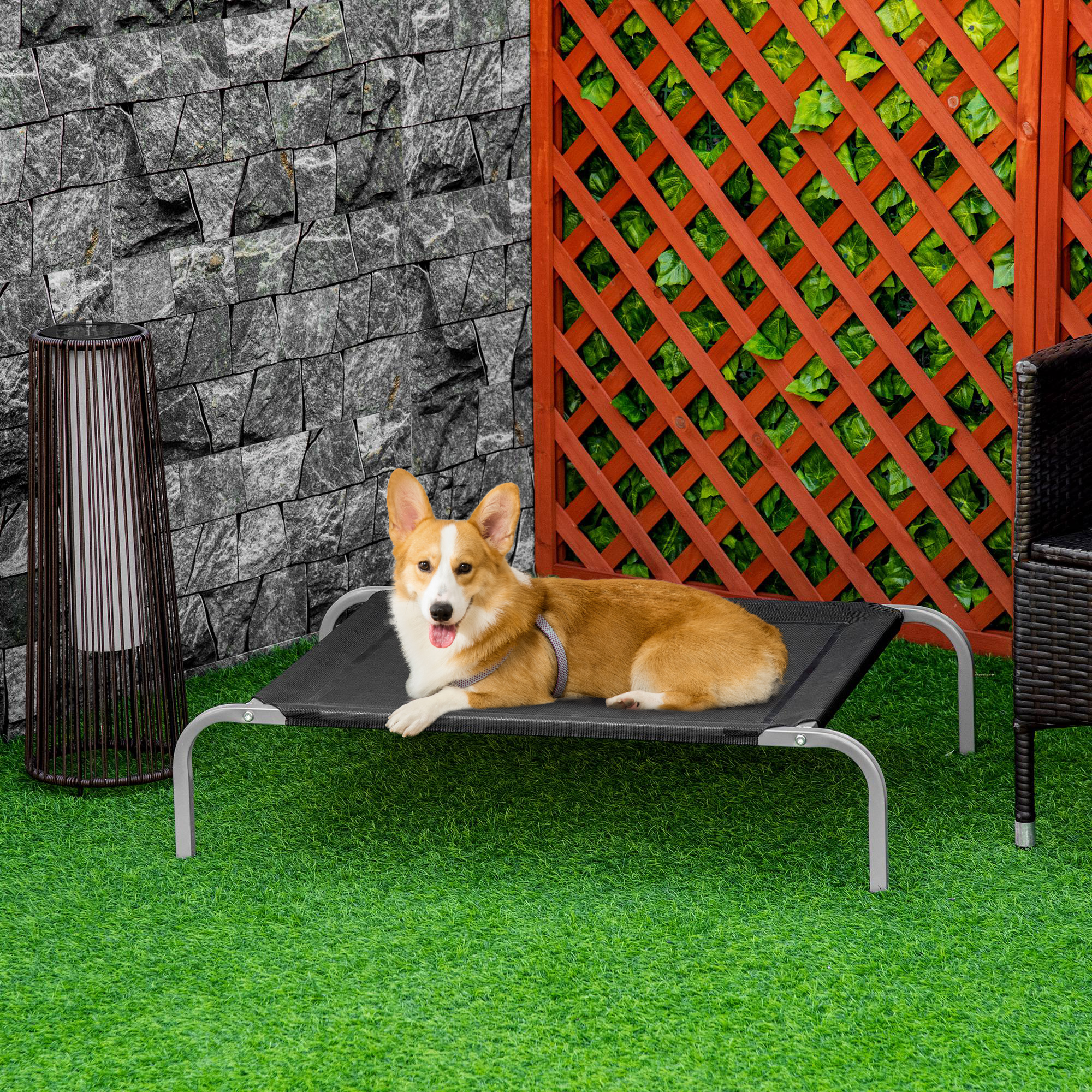 Un perro en una cama para perros en un jardín. Hay una pared de ladrillo y una valla de celosía en el fondo.