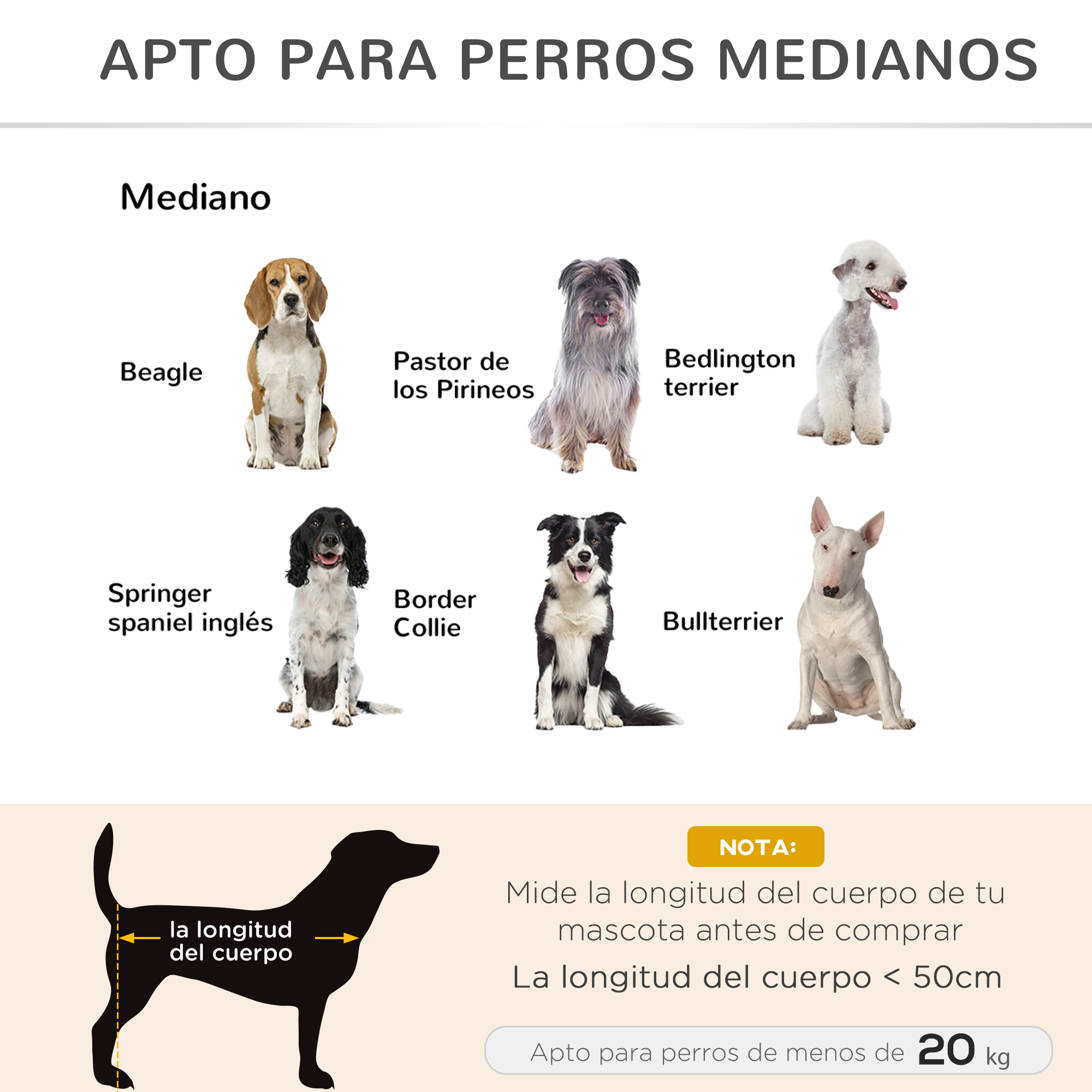 Imagen ilustrativa que muestra razas de perros adecuadas para perros medianos, texto 'Apto para perros medianos' presente.