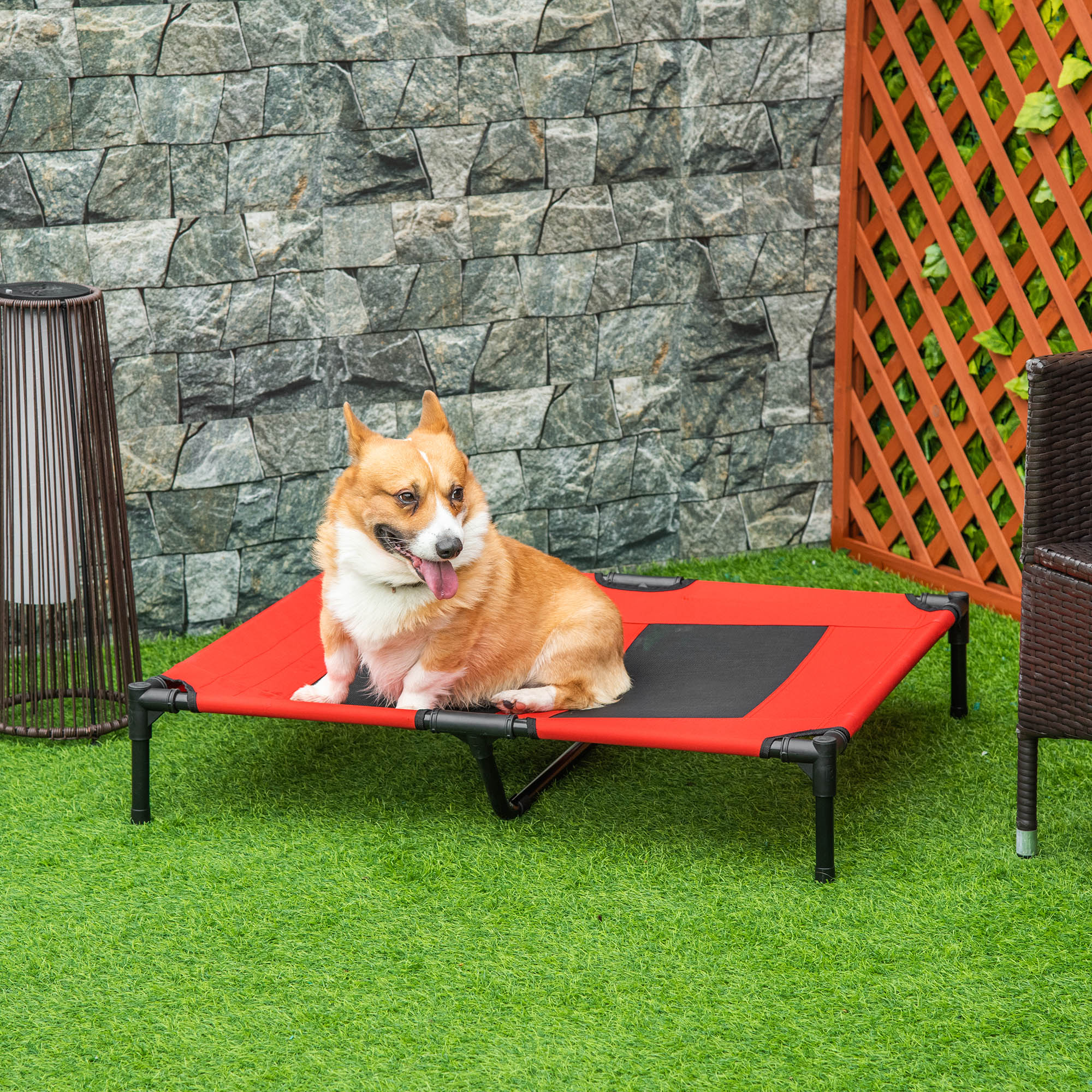 Un perro corgi sentado en una cama roja para mascotas sobre hierba verde, con la lengua fuera, frente a una pared de piedra.