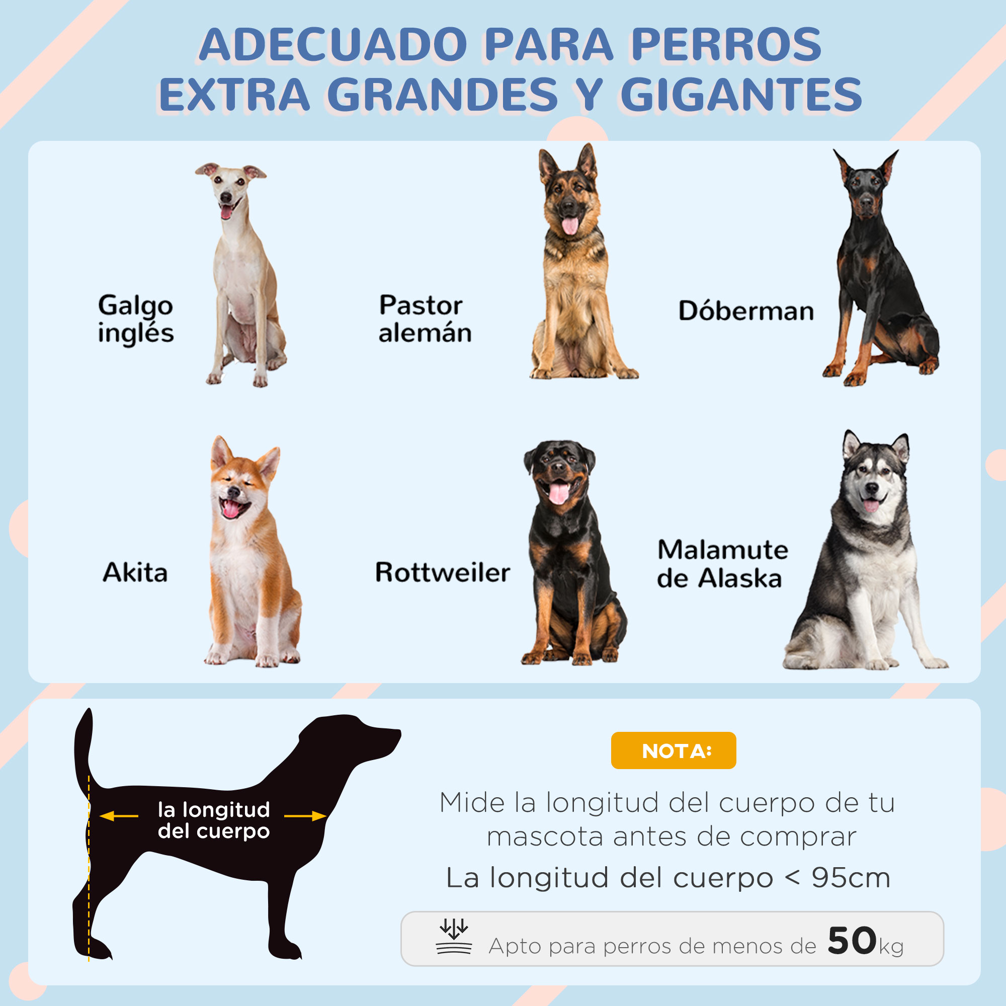 Diagrama que muestra razas de perros adecuadas para perros grandes, incluyendo Galgo Inglés, Pastor Alemán y Rottweiler.
