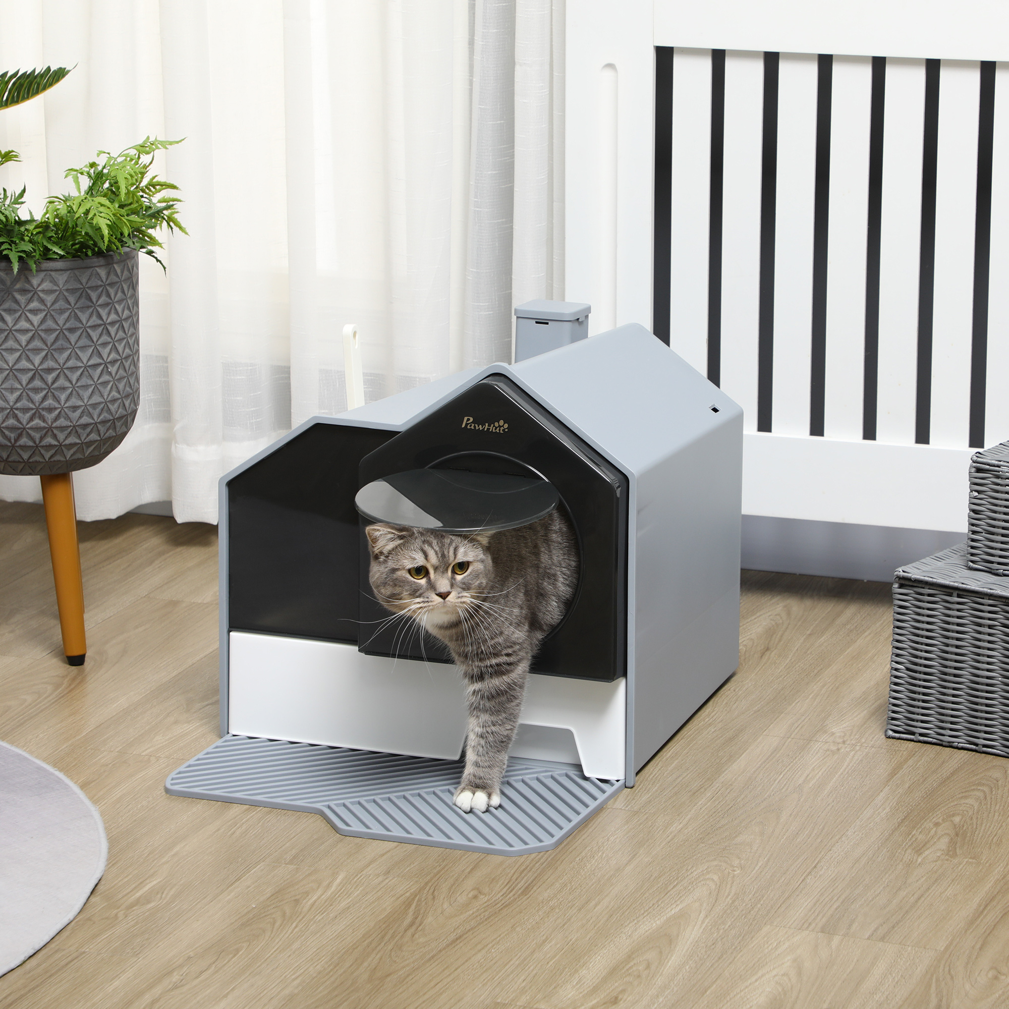 Gato gris sale de una caja de arena moderna gris. El gato es gris y blanco. La habitación tiene suelo de madera.