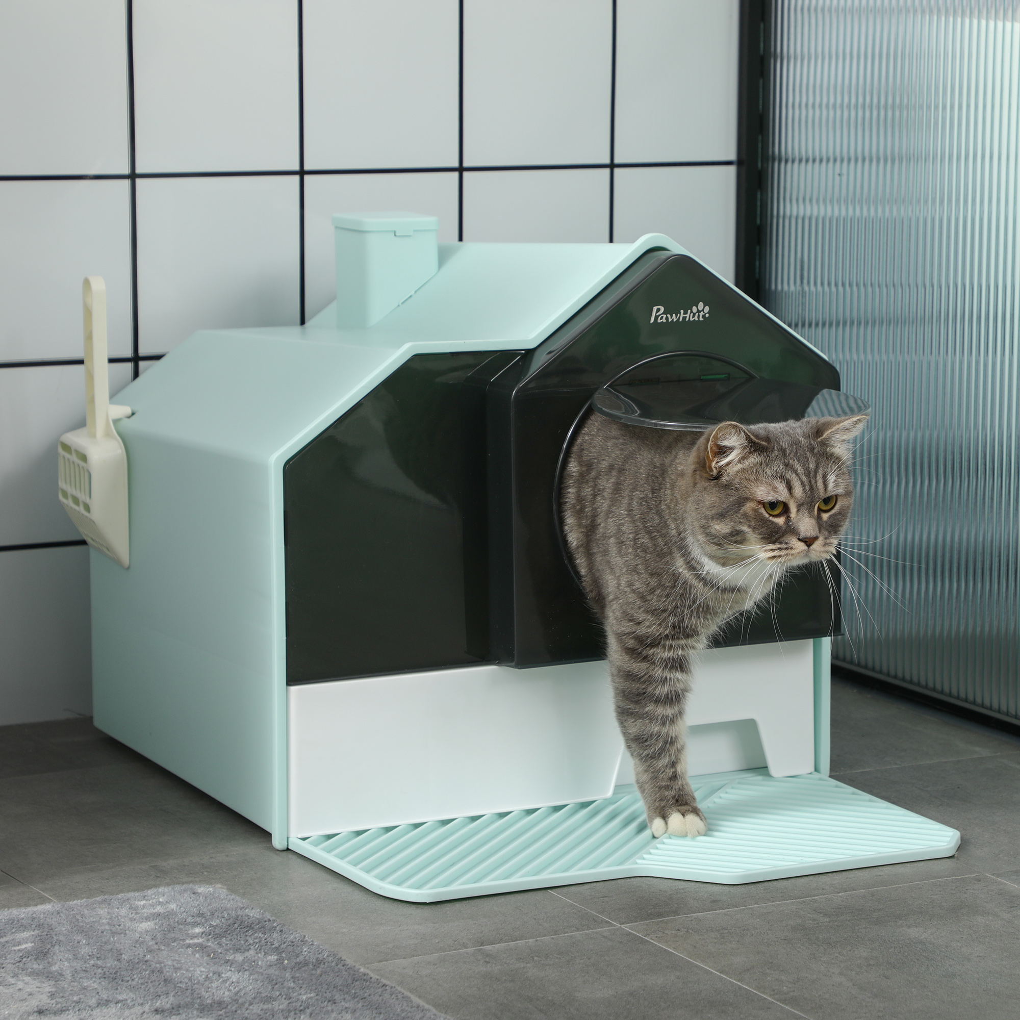 Un gato sale de una caja de arena para gatos verde menta y negra. Una pala descansa en el lado.