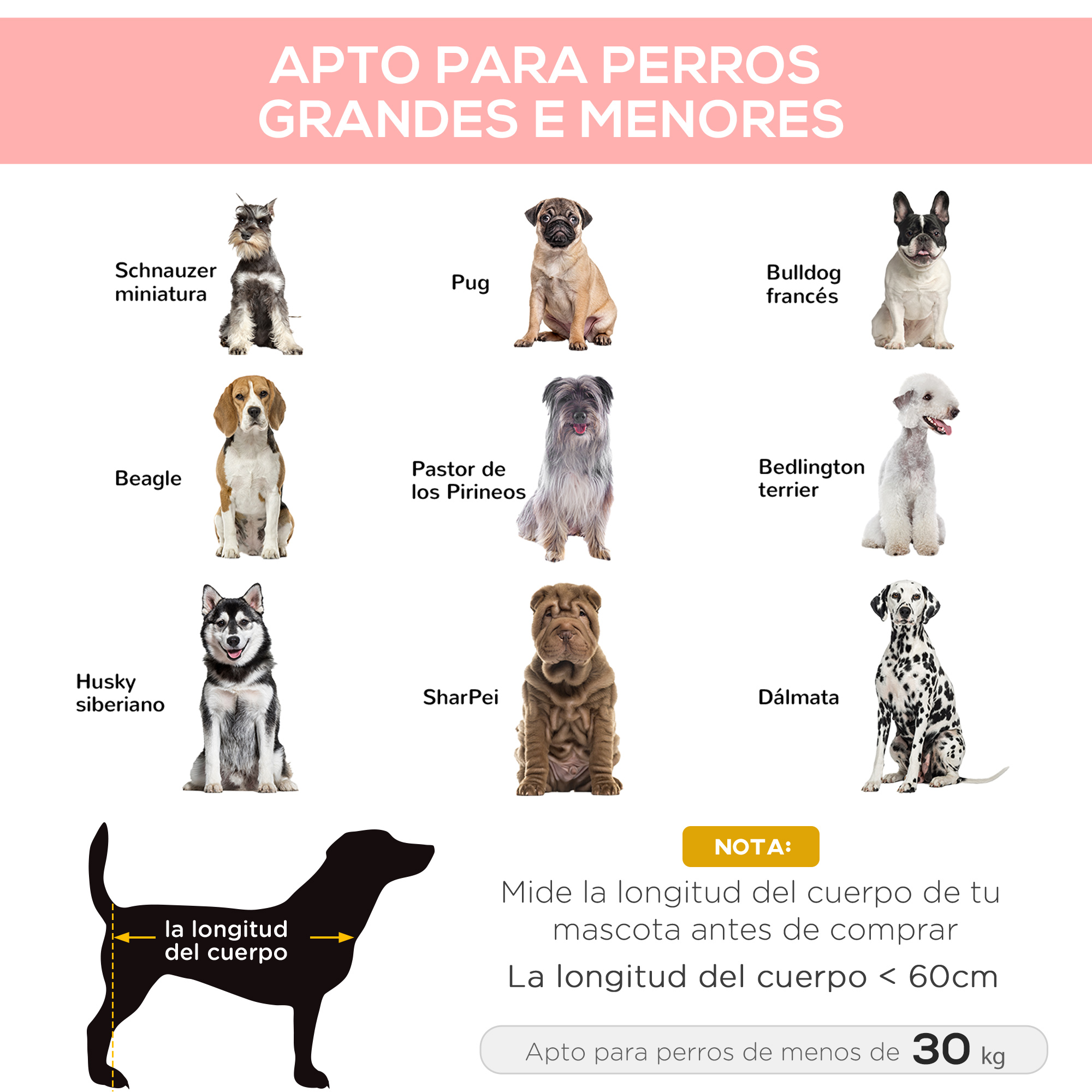 Un diagrama muestra varias razas de perros. Las razas incluyen un Husky, Beagle y Dálmata. Una silueta mide la longitud del cuerpo.