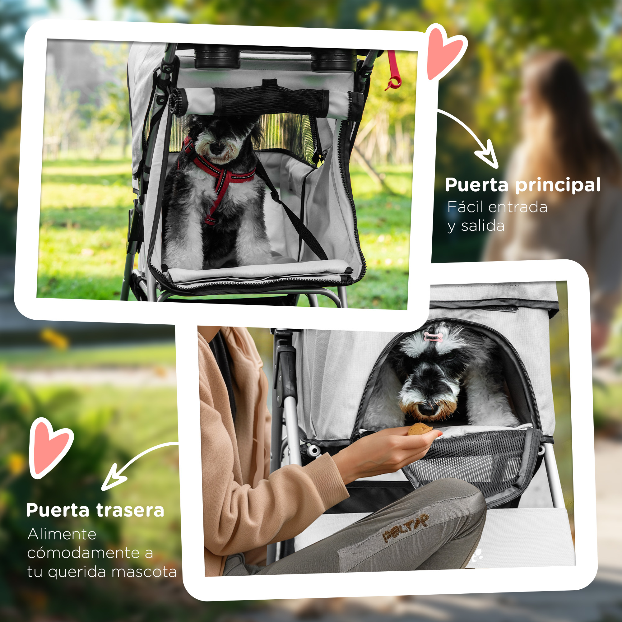 Un perro en un cochecito para mascotas, dos imágenes: perro dentro y una persona alimentándolo.