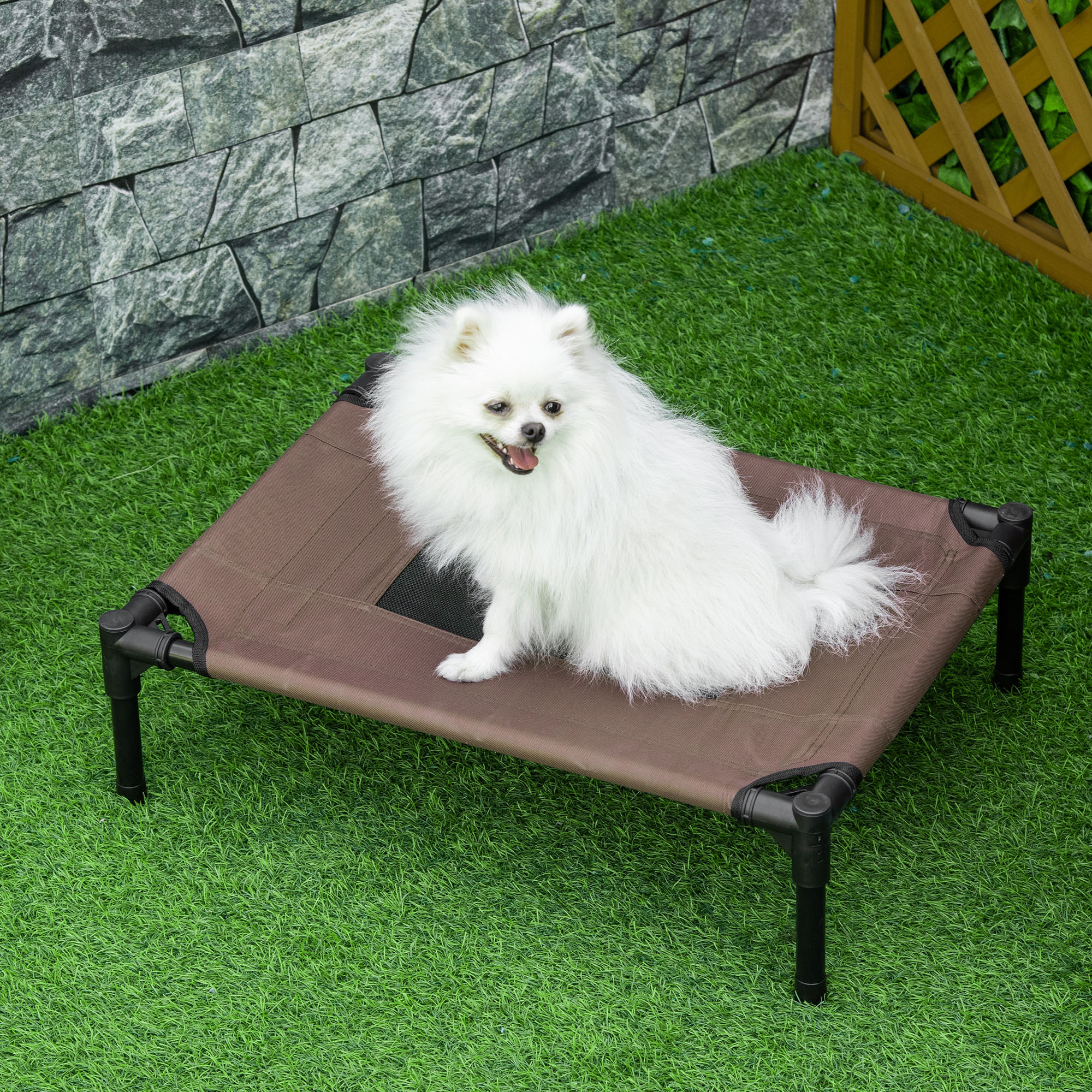 Un perro blanco pequeño sentado en una cama para perros marrón sobre hierba verde. Una pared de piedra está al fondo.