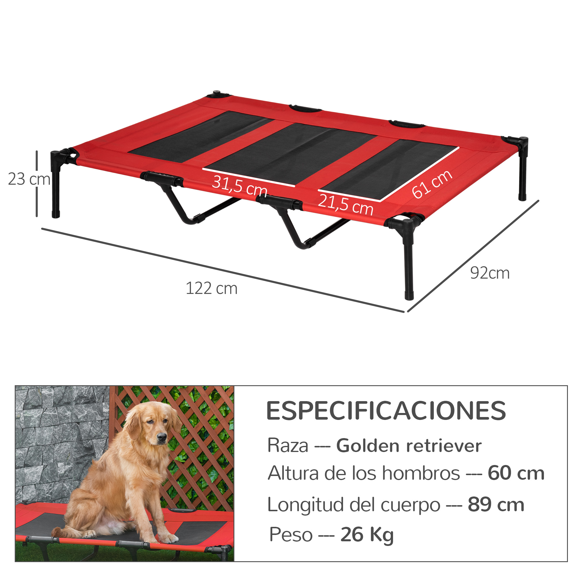 Una cama roja para perros con dimensiones y especificaciones, y un Golden Retriever sentado en ella.