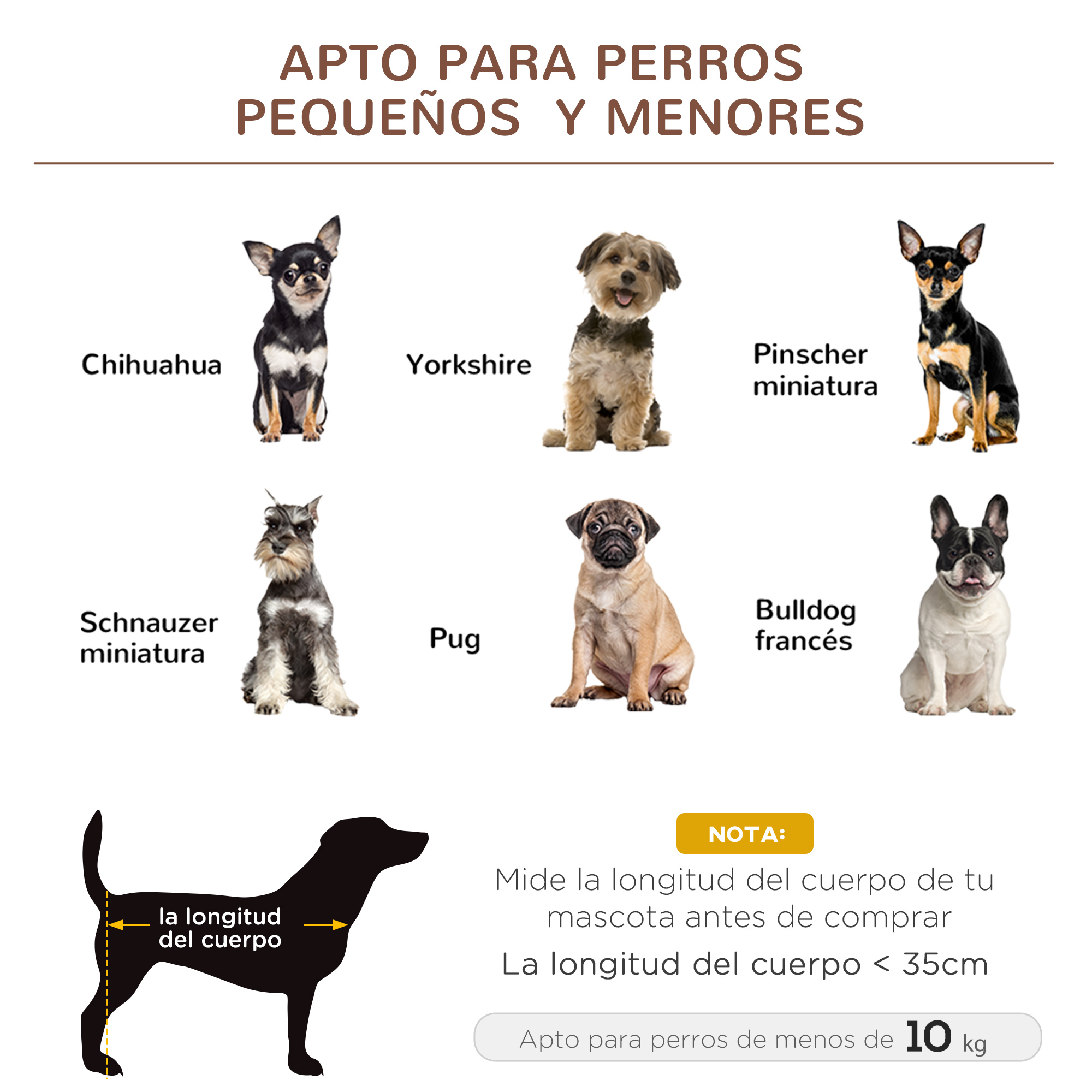 Imagen ilustrativa que muestra razas de perros adecuadas para perros pequeños, texto 'Apto para perros pequeños y menores' presente.