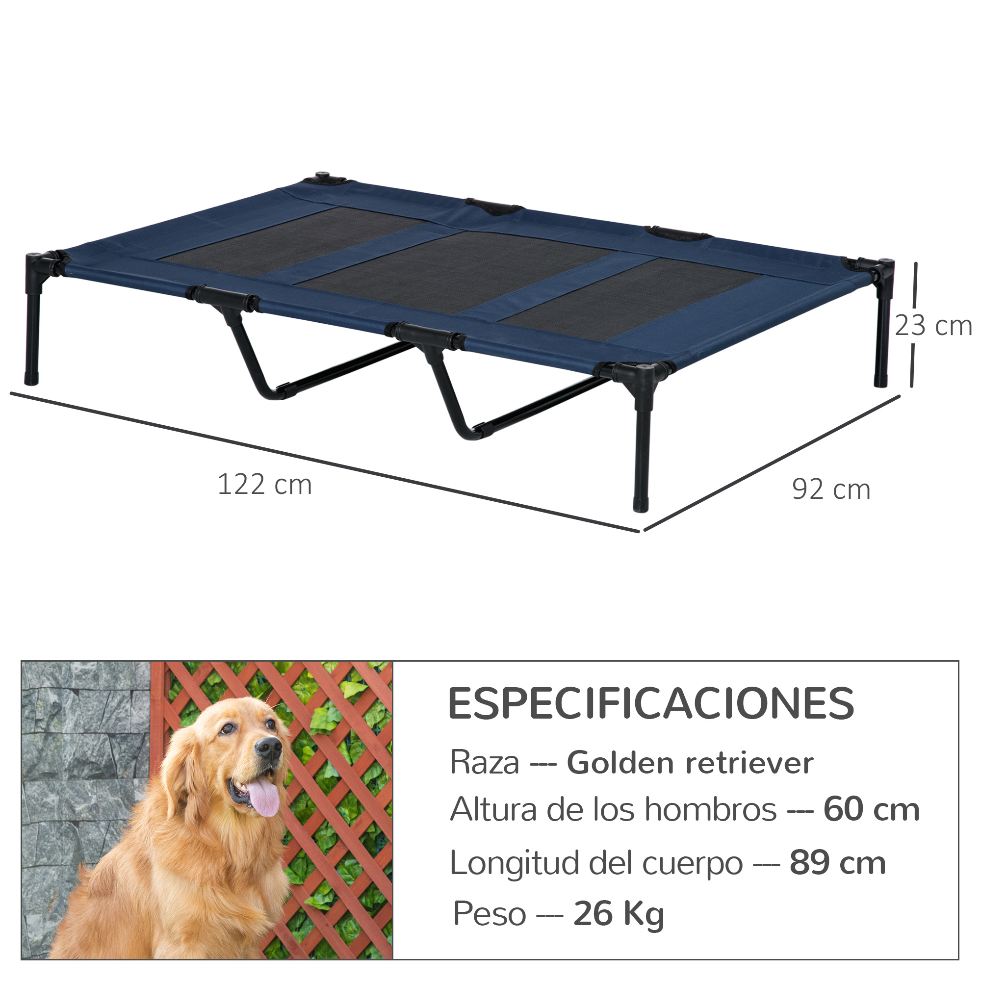 Una cama azul para mascotas con dimensiones, un golden retriever y especificaciones. Muestra el tamaño de la cama y las medidas del perro.