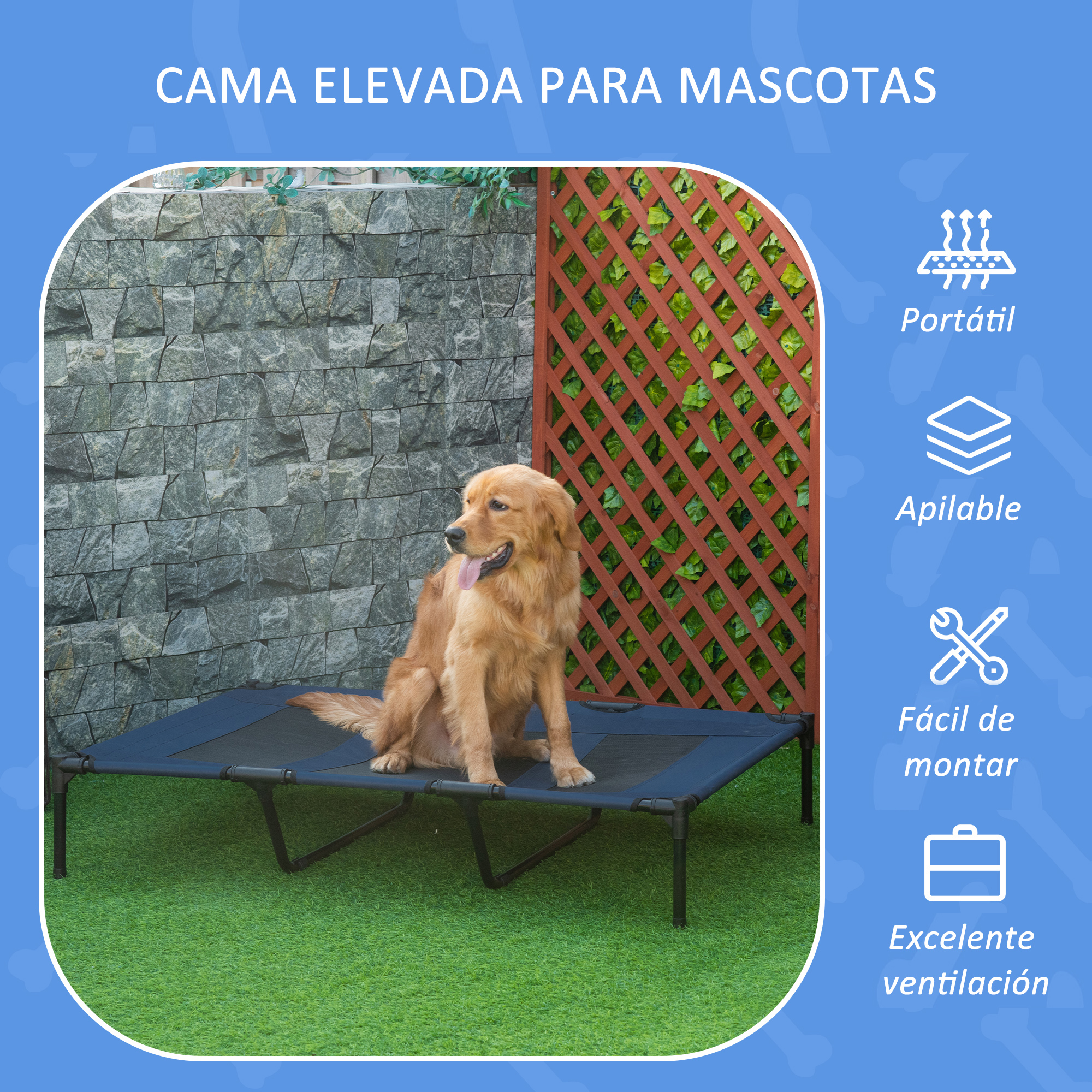 Un perro golden retriever sentado en una cama elevada para mascotas negra. Fondo con pared y enrejado.
