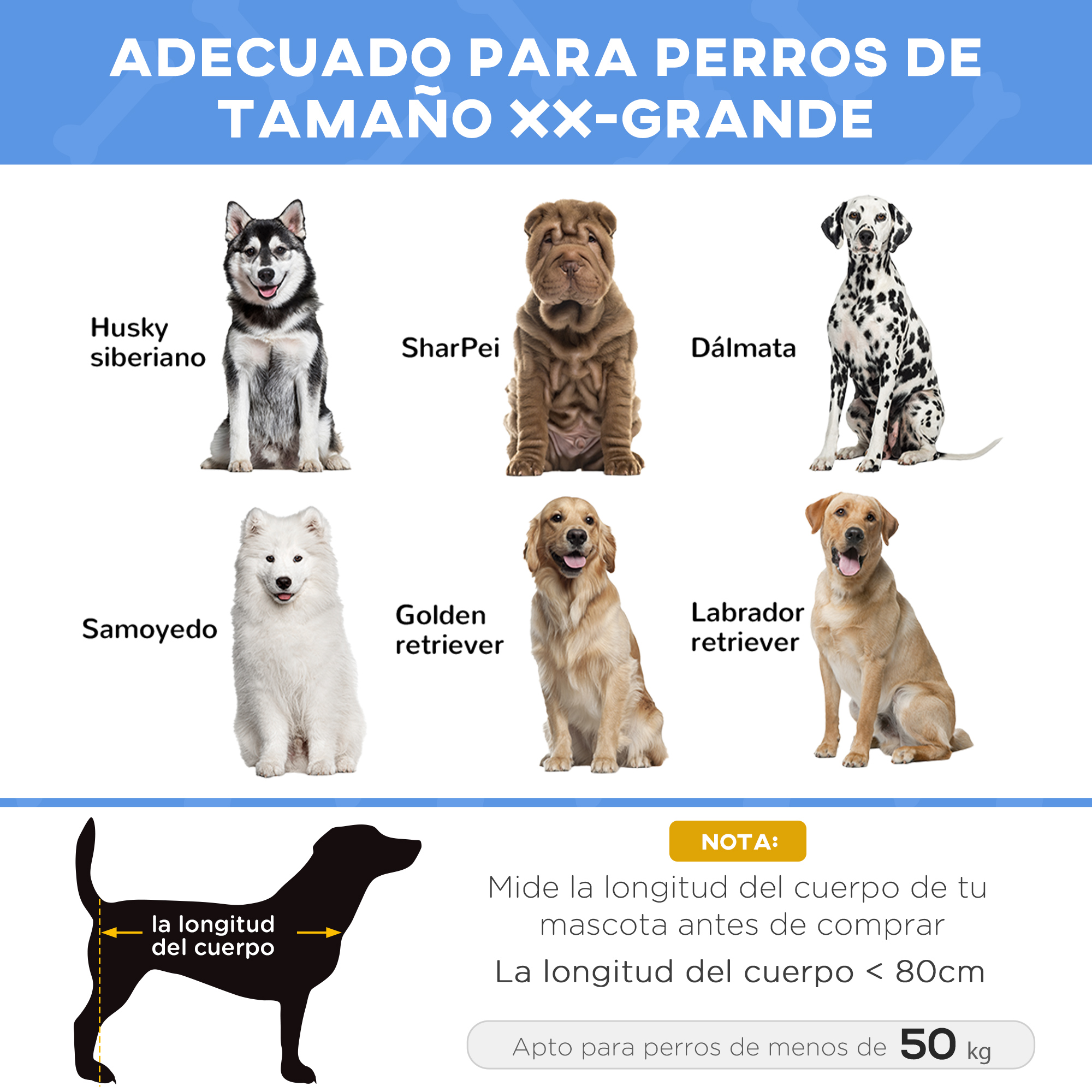 Seis razas de perros diferentes con una guía de longitud corporal, aptas para perros XX-Grandes de menos de 50 kg.