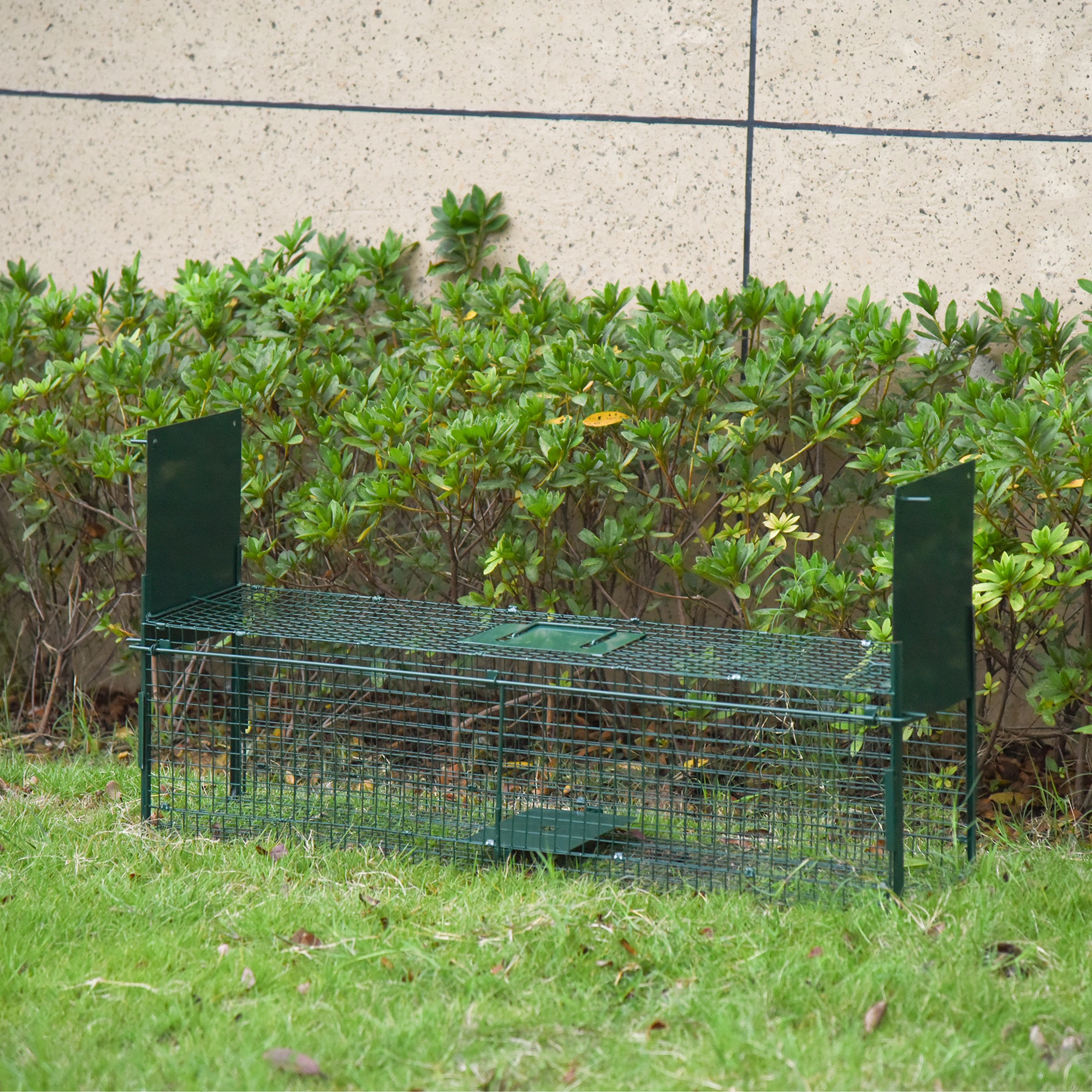Una trampa de metal verde se encuentra en hierba verde frente a un arbusto verde. Tiene dos puertas verdes.