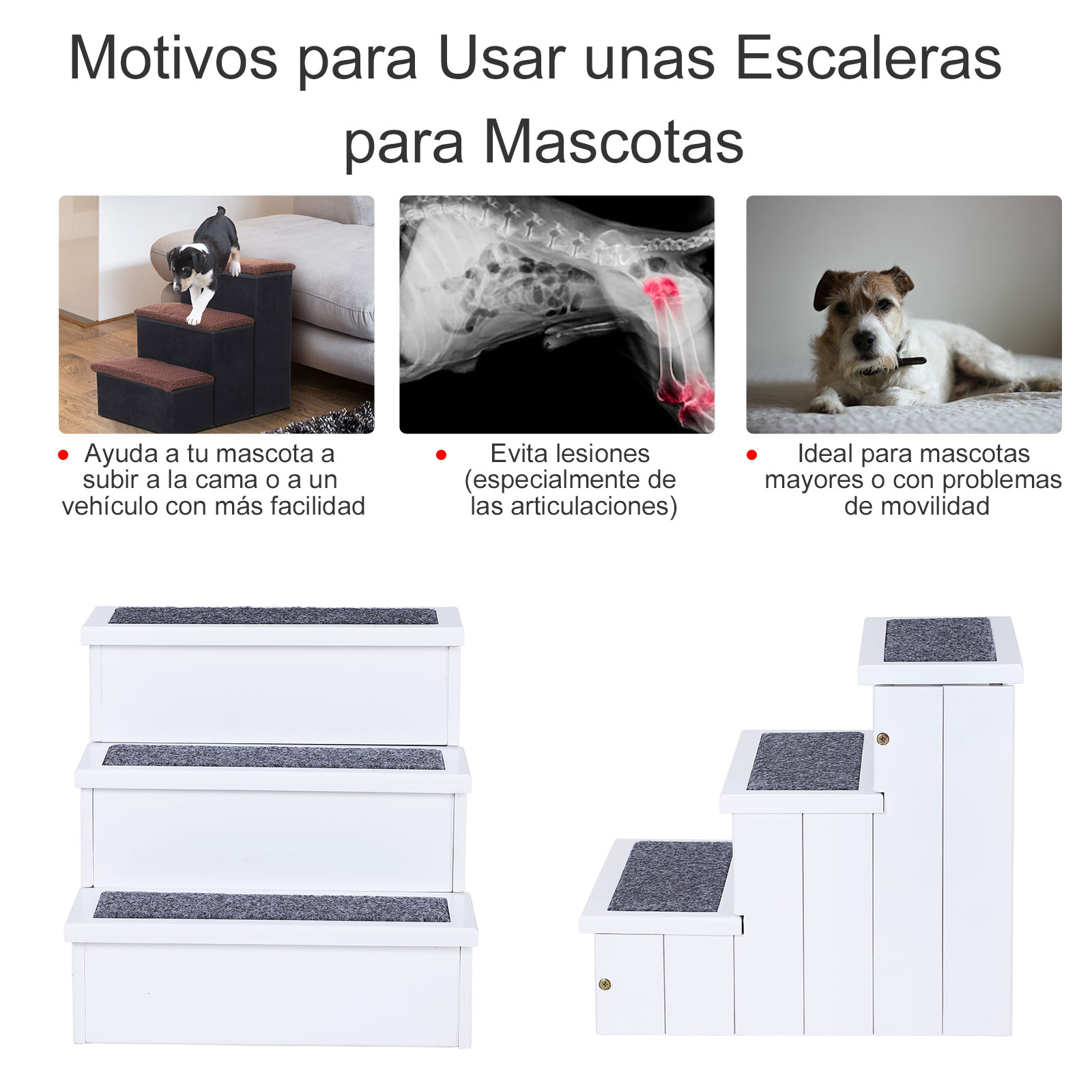 Imagen con texto sobre escaleras para mascotas. Muestra escaleras e imágenes de un perro en escaleras.