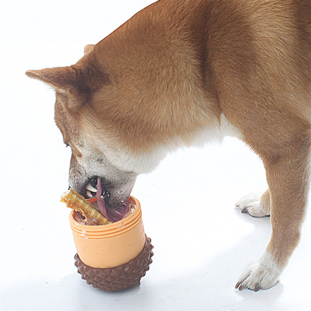 Hund frisst aus einem Spielzeug. Das Spielzeug ist orange und braun. Der Hund hat braunes Fell.