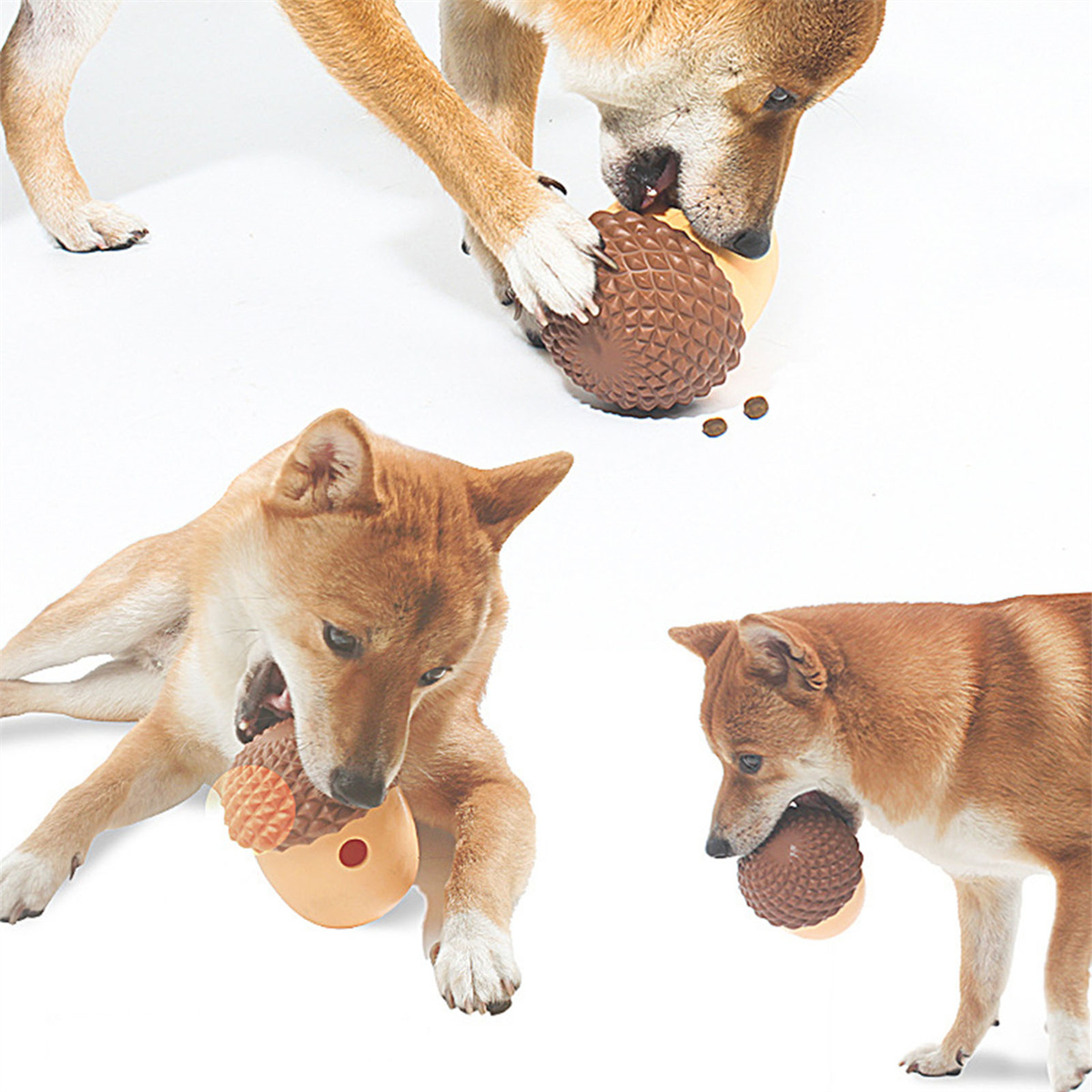 Drei Hunde spielen mit braunen und beigen Spielzeugen. Weißer Hintergrund.