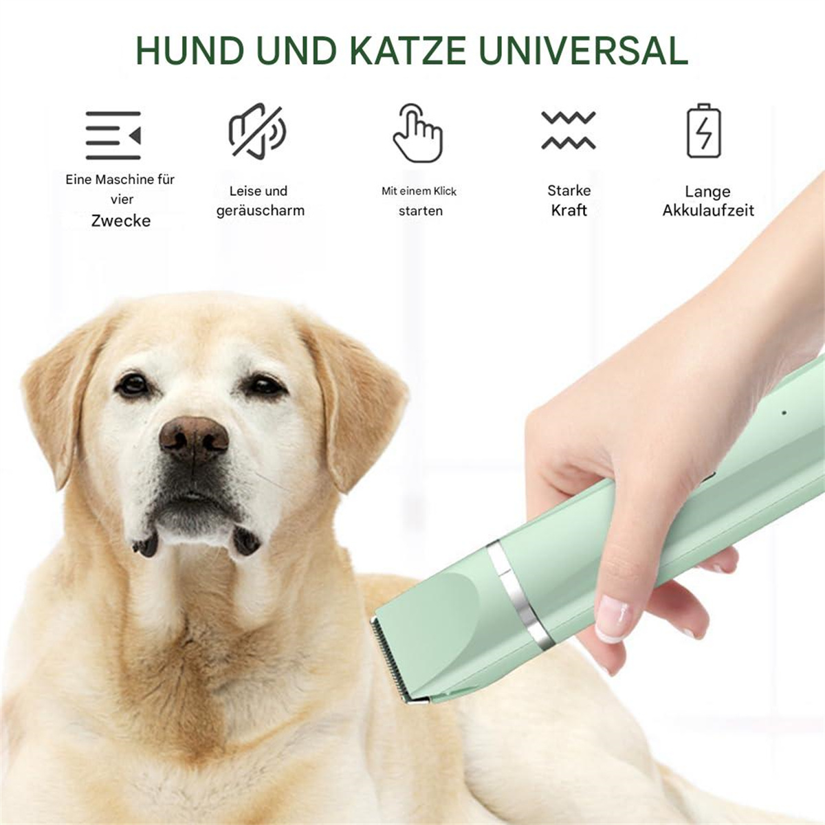 Hund wird mit elektrischem Clipper gepflegt. Text und Symbole herum.