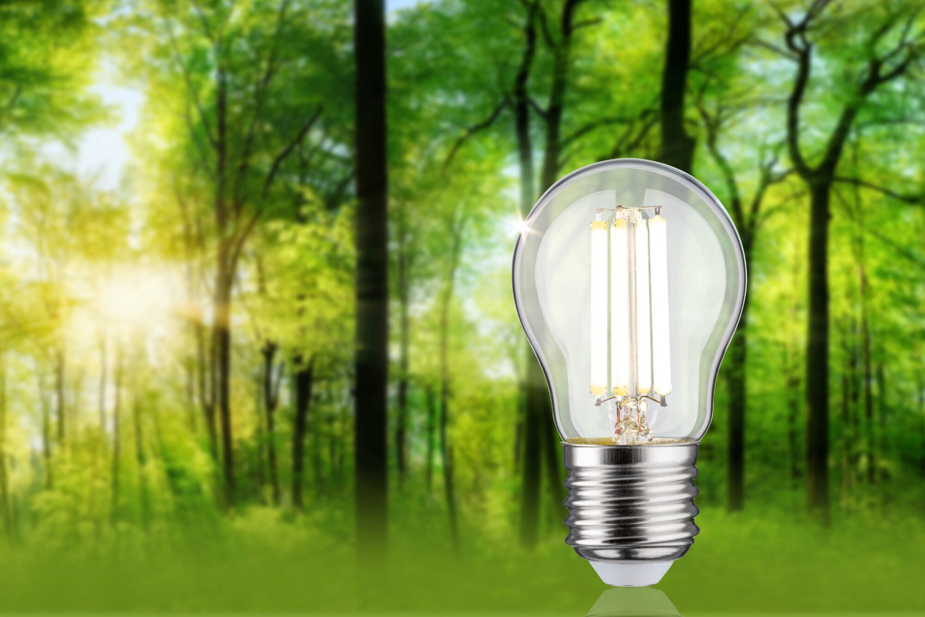 Eine beleuchtete LED-Glühbirne vor einer verschwommenen Waldszene, mit einer grünen und sonnigen Umgebung.