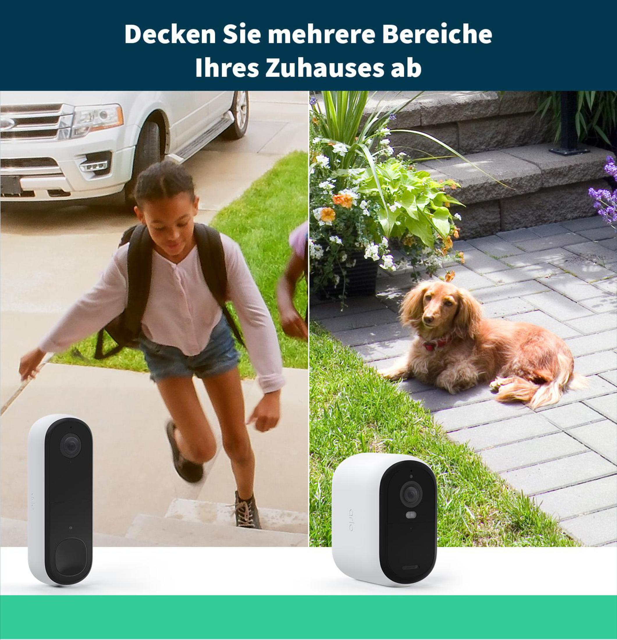 Zwei Überwachungskameras und ein Hund. Eine Kamera befindet sich auf Treppen, eine andere in der Nähe des Hundes auf einer Steinterrasse.