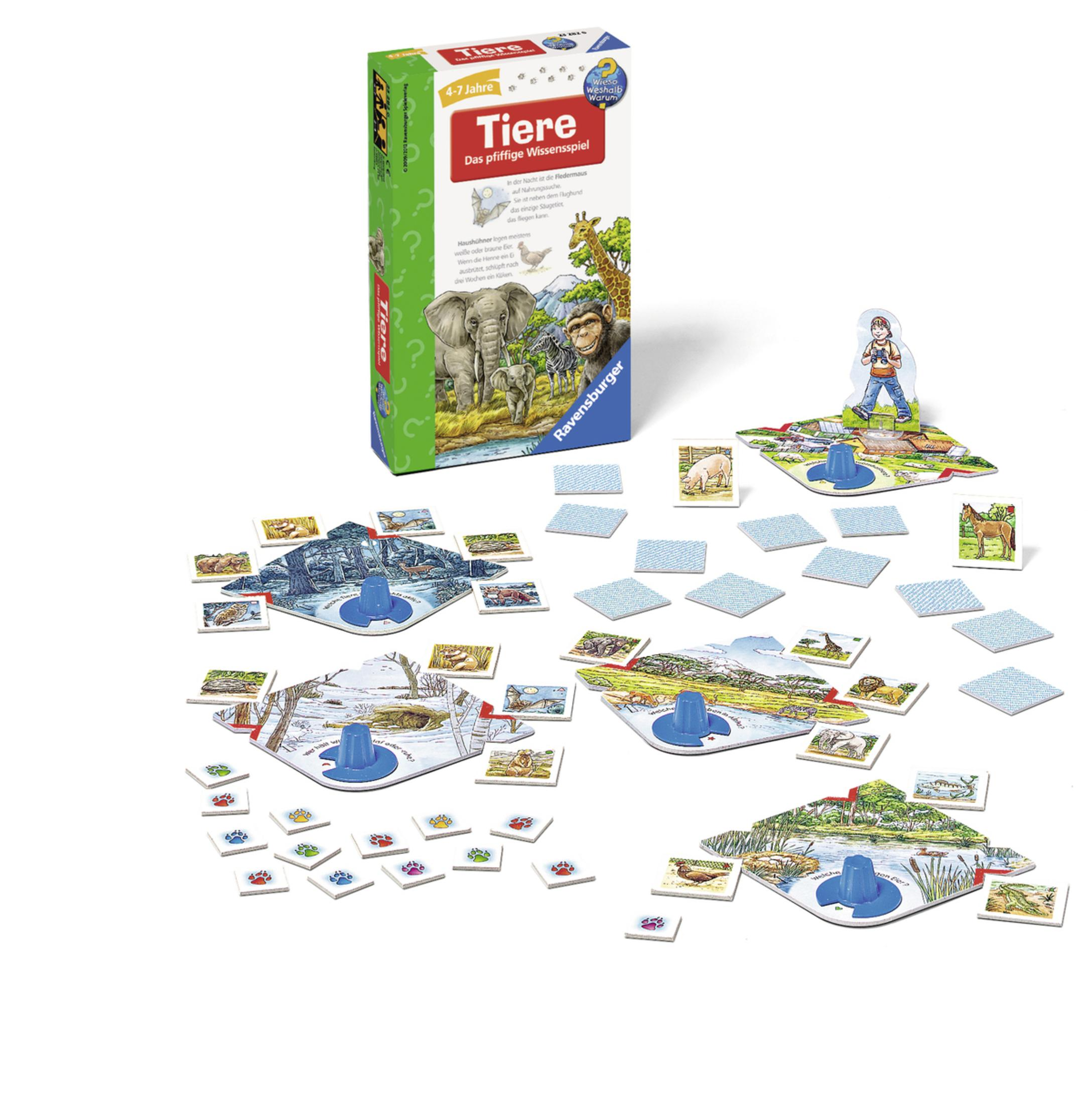 Ein Brettspielkarton und Spielbretter mit Tierkarten. Mehrere Spielsteine sind verstreut.