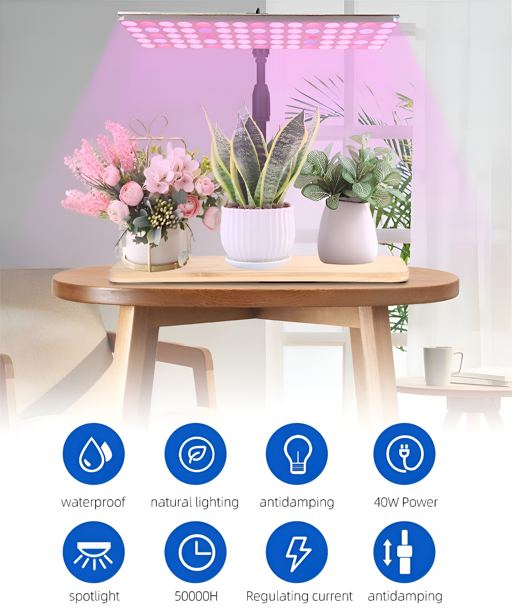 Pflanzen auf Holztablett unter rosa Wachstumslampe, darunter Symbole.
