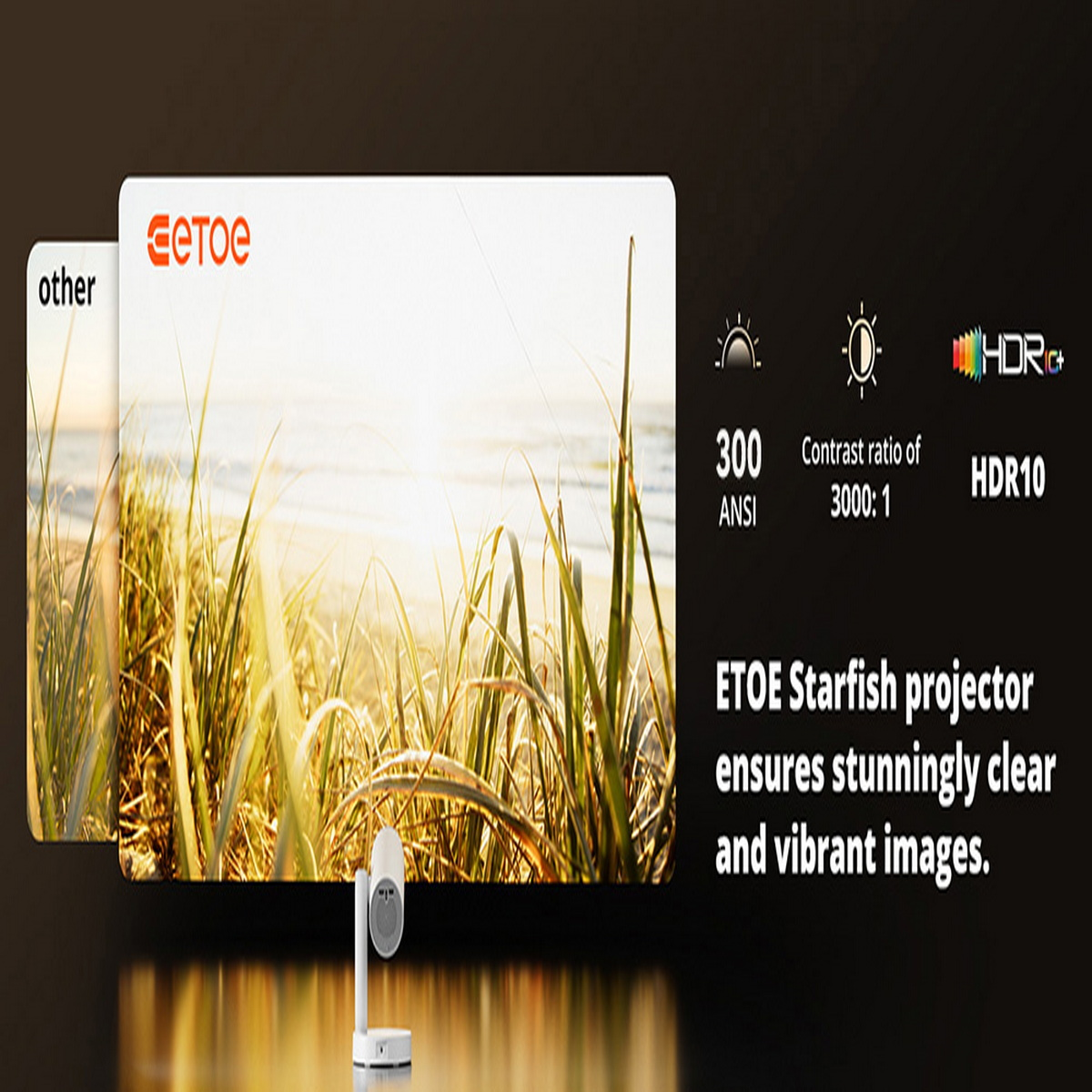 Proyector con pantalla blanca, texto explicando características y imagen de playa en el fondo.