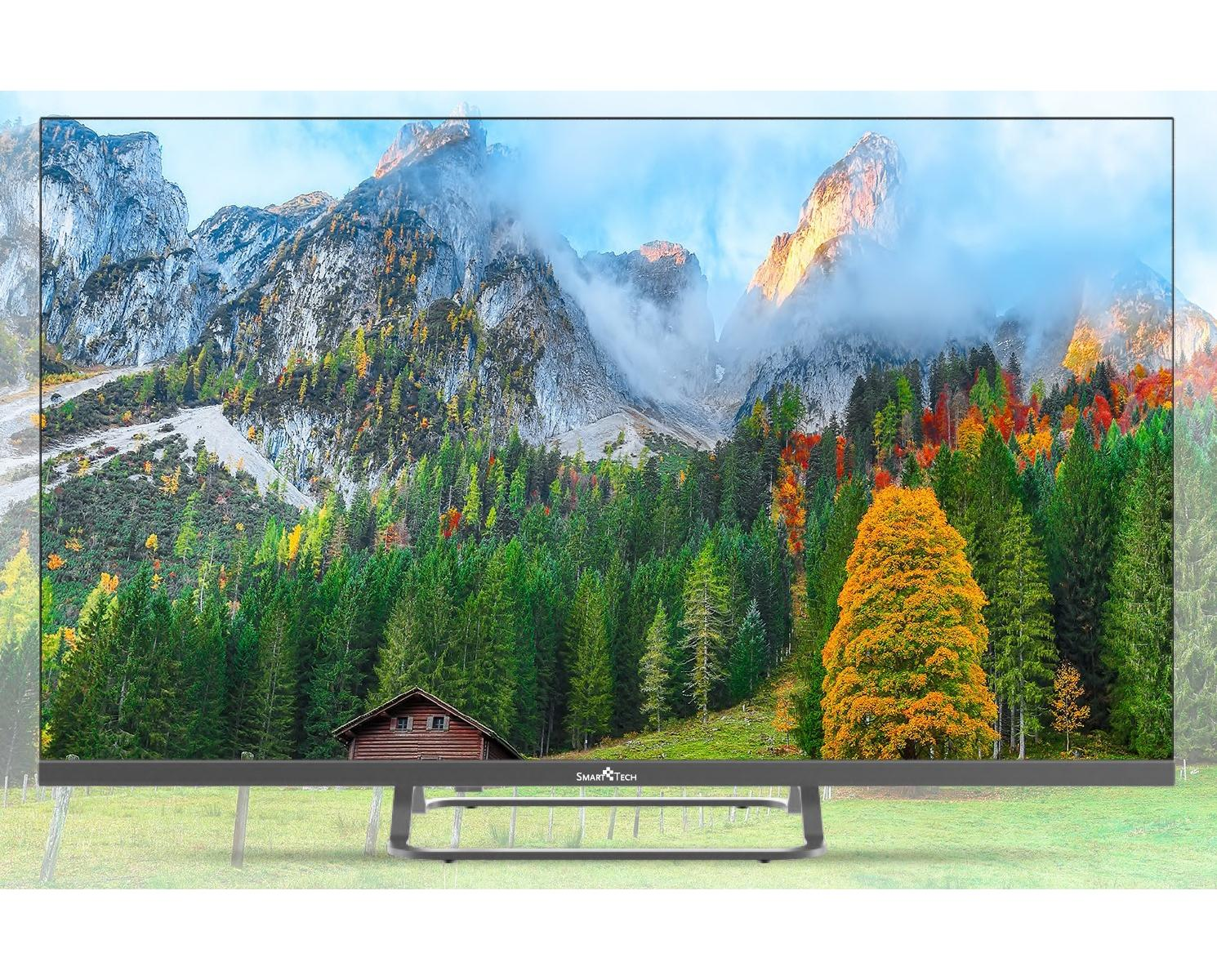 TV a schermo grande che mostra un paesaggio montano con alberi e una casa.