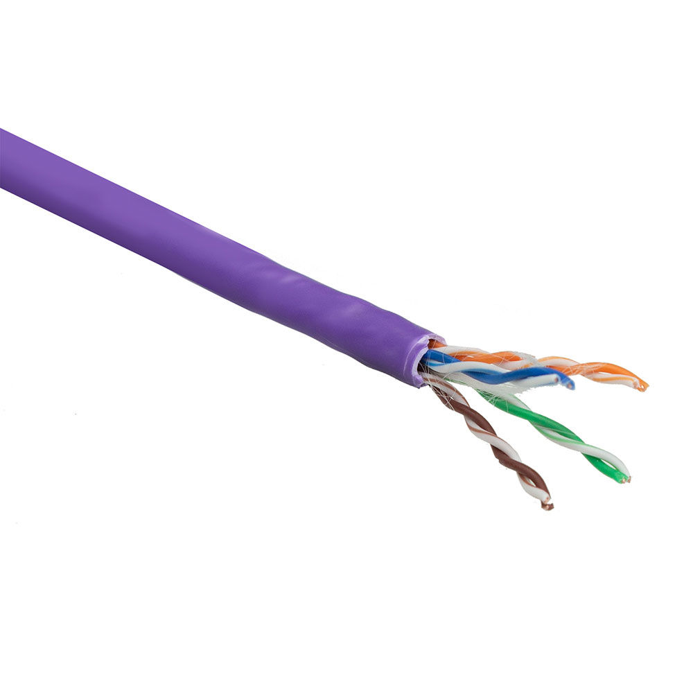 Un cavo di rete viola con fili scoperti. I fili sono di colori diversi, su sfondo bianco.