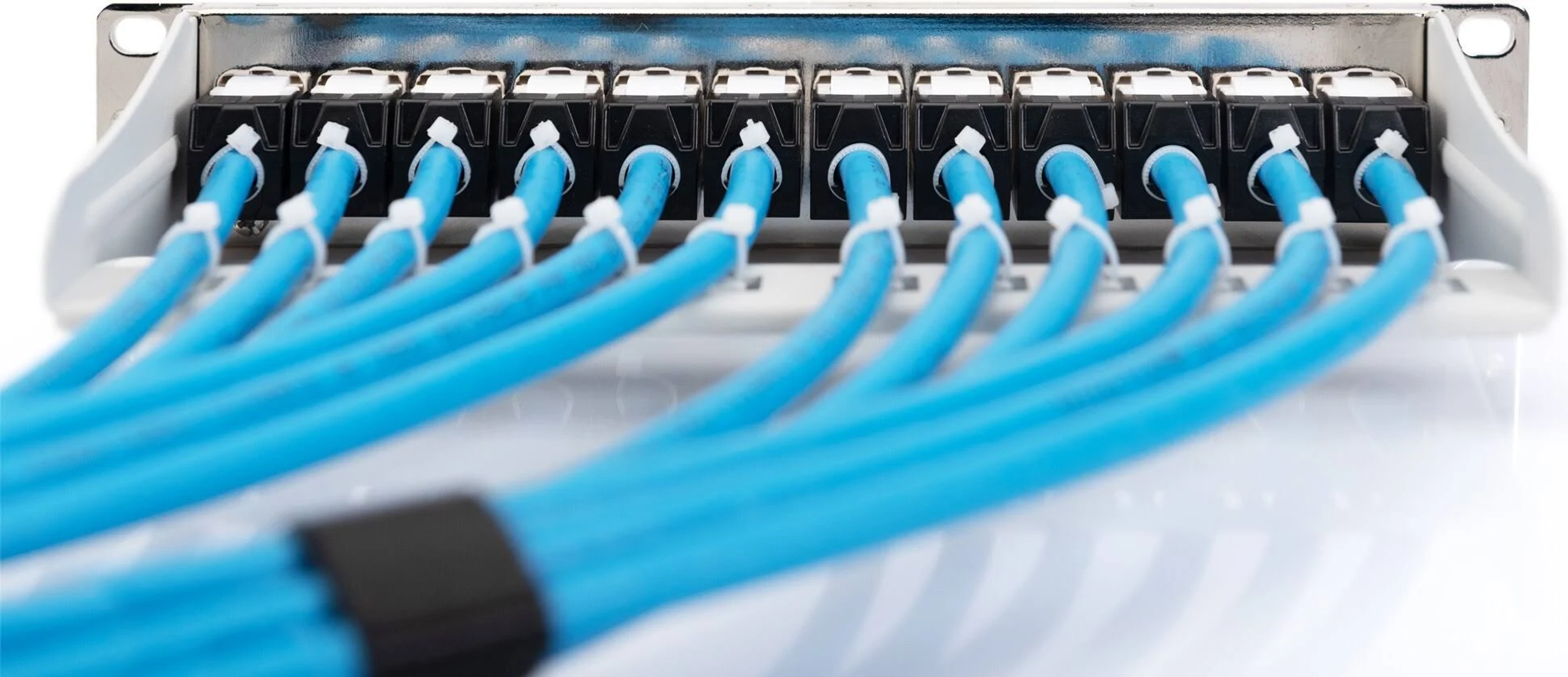 Biały kabel sieciowy z białym złączem. Złącze ma niebieski koniec.