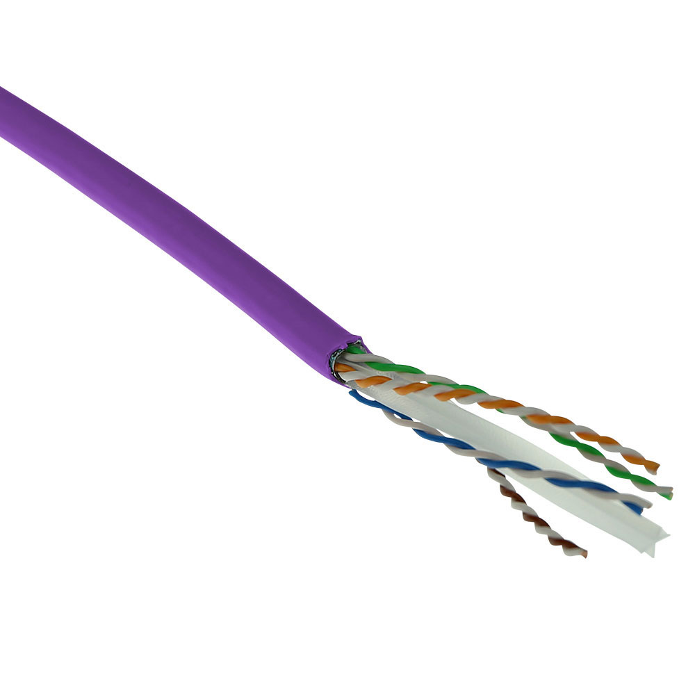 Cavo di rete viola con fili scoperti. Sfondo bianco.