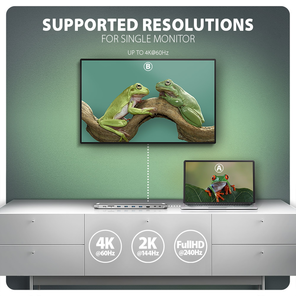 Diagramma che mostra un laptop e un monitor collegati a una docking station.  Rane verdi sullo schermo.