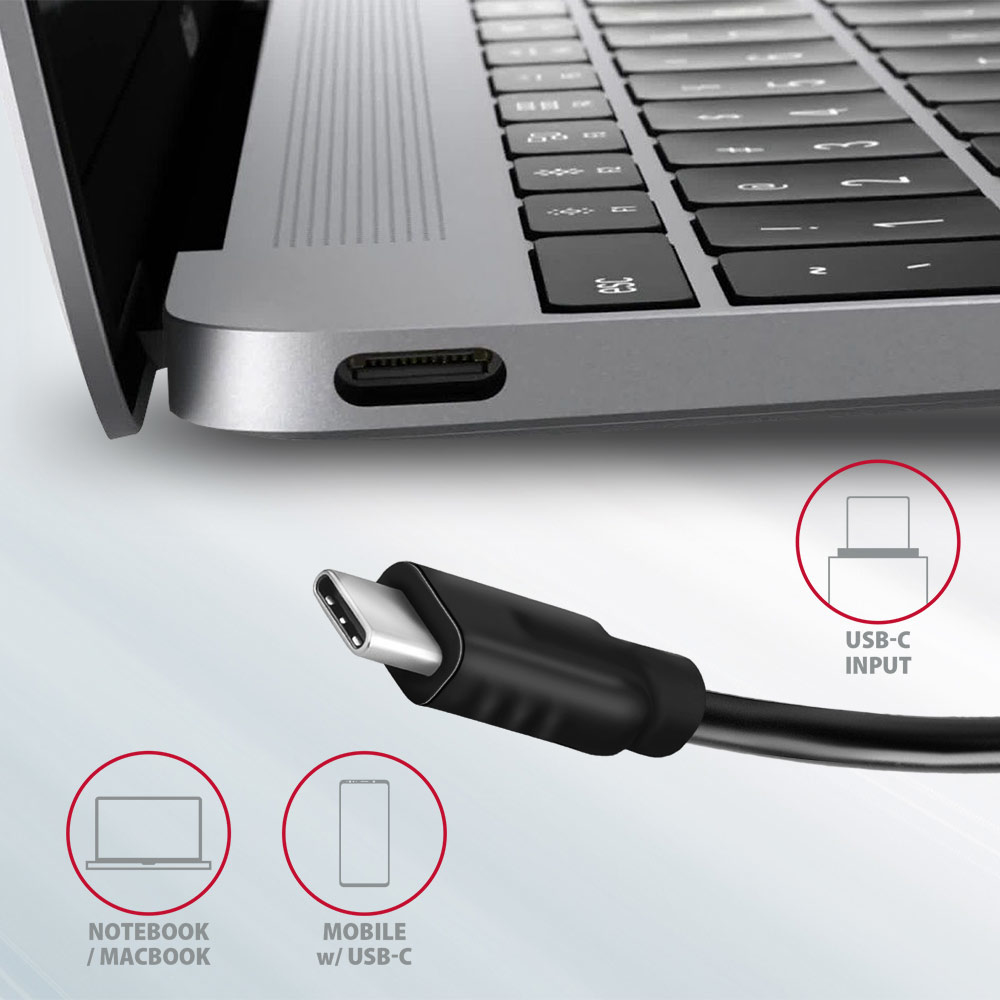 Porta USB-C del laptop e cavo con connettore USB-C. Icone per laptop e cellulare con USB-C.