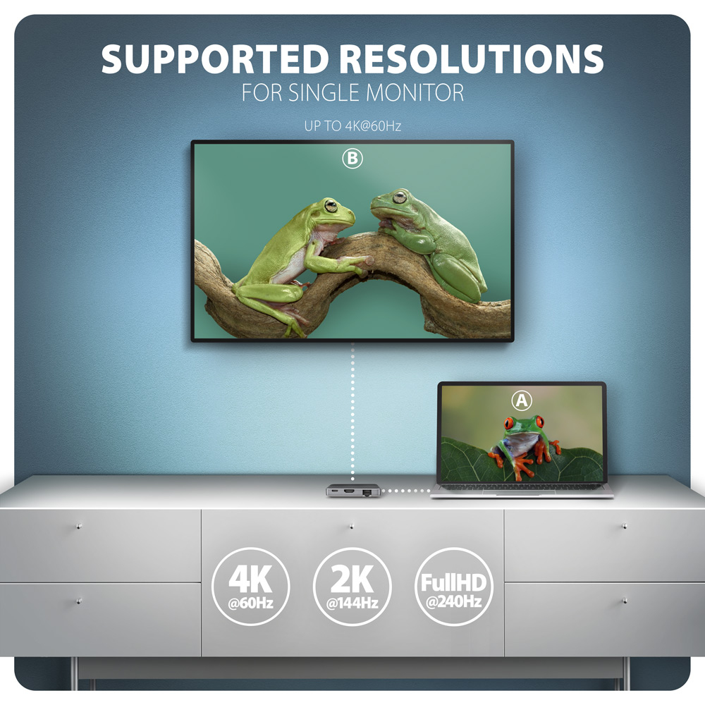 Monitor con rane, laptop con immagine di rana, risoluzioni supportate 4K, 2K, Full HD.