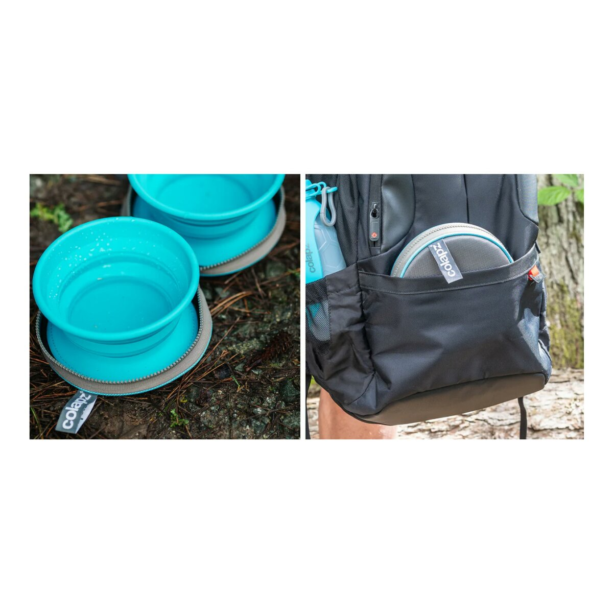 Zwei zusammenklappbare türkisfarbene Hundenäpfe und ein Rucksack mit einer Wasserflasche und einer Schüssel.