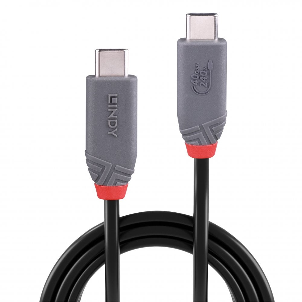 Câble USB-C noir avec connecteurs gris et accents rouges, sur fond blanc.