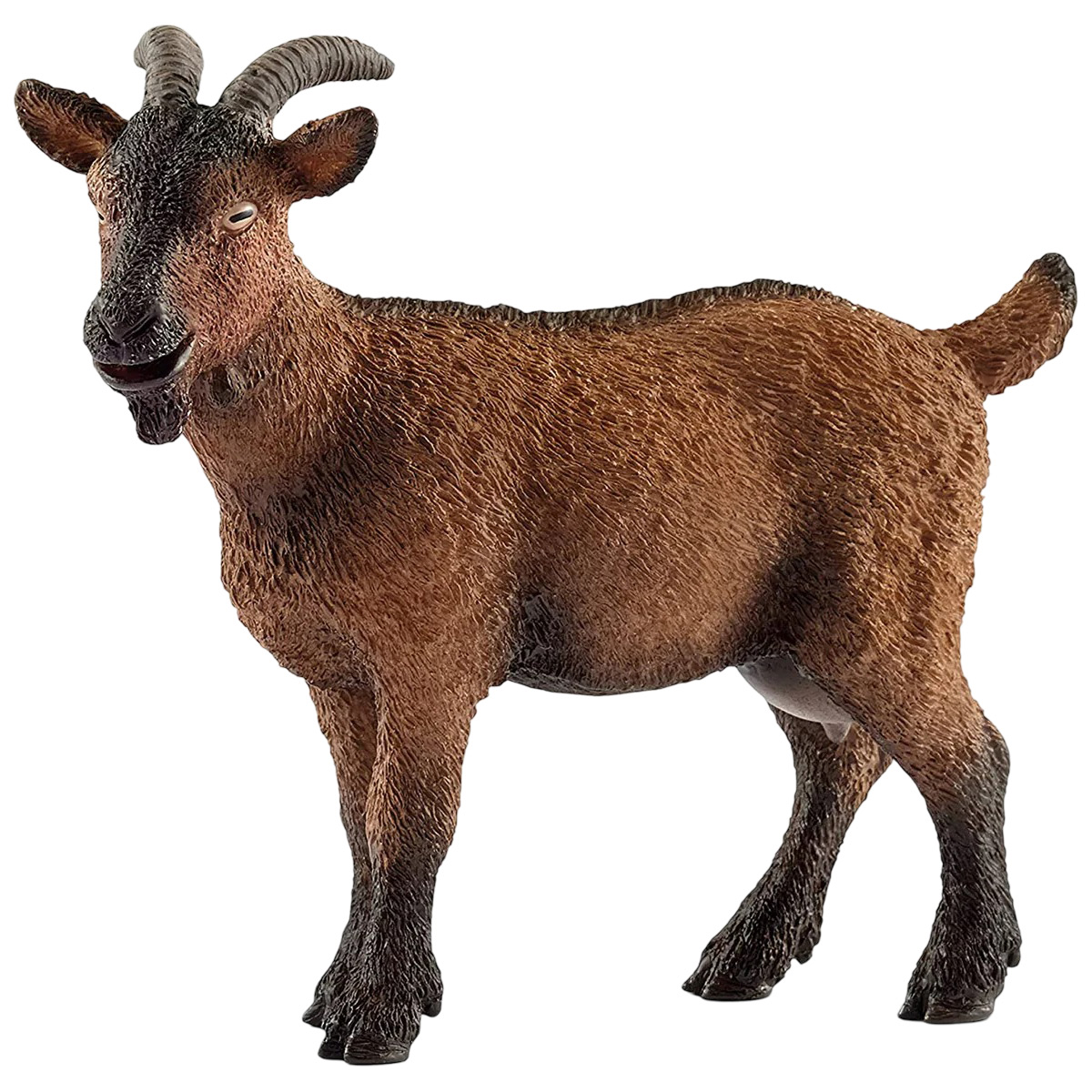 Una capra marrone, in piedi. Ha le corna e una faccia nera e marrone. La capra è su uno sfondo bianco.