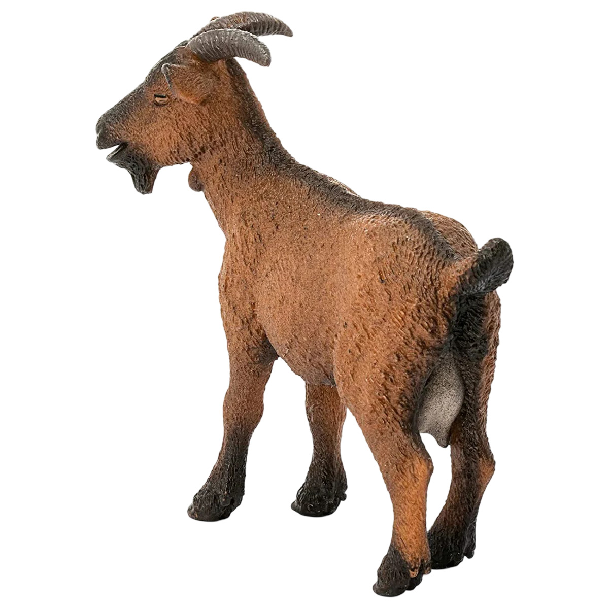 Capra marrone su sfondo bianco, vista da dietro, testa girata a sinistra.