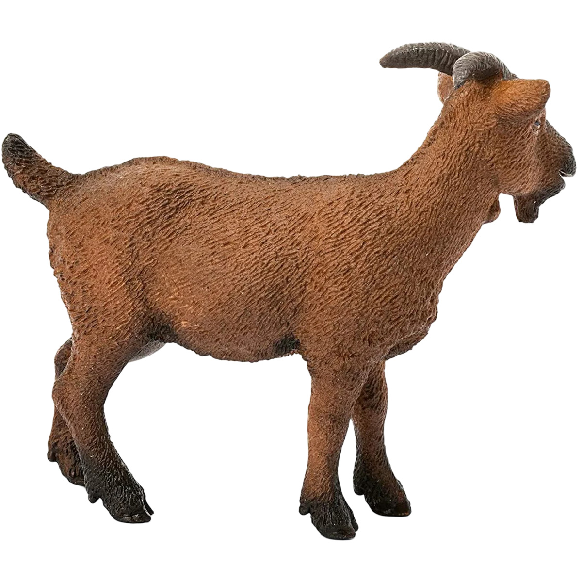 Capra marrone, vista laterale, in piedi su una superficie bianca. Ha corna e barba.