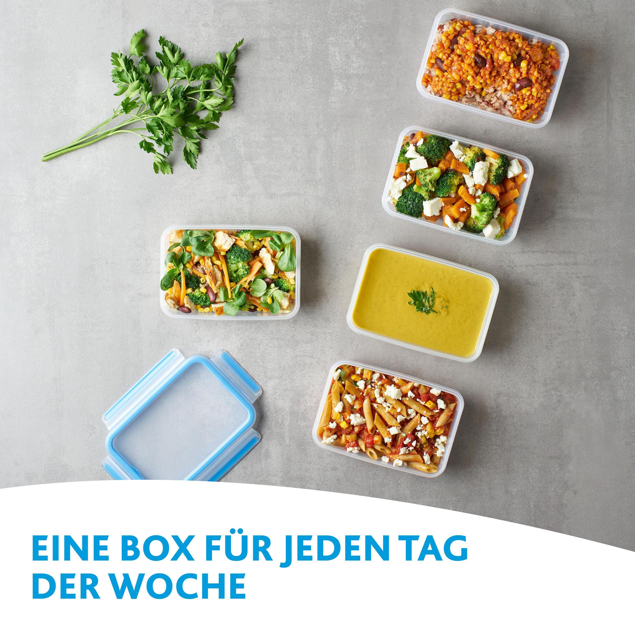 Lebensmittelbehälter mit verschiedenen Mahlzeiten und Kräutern. Draufsicht. Grauer Hintergrund.