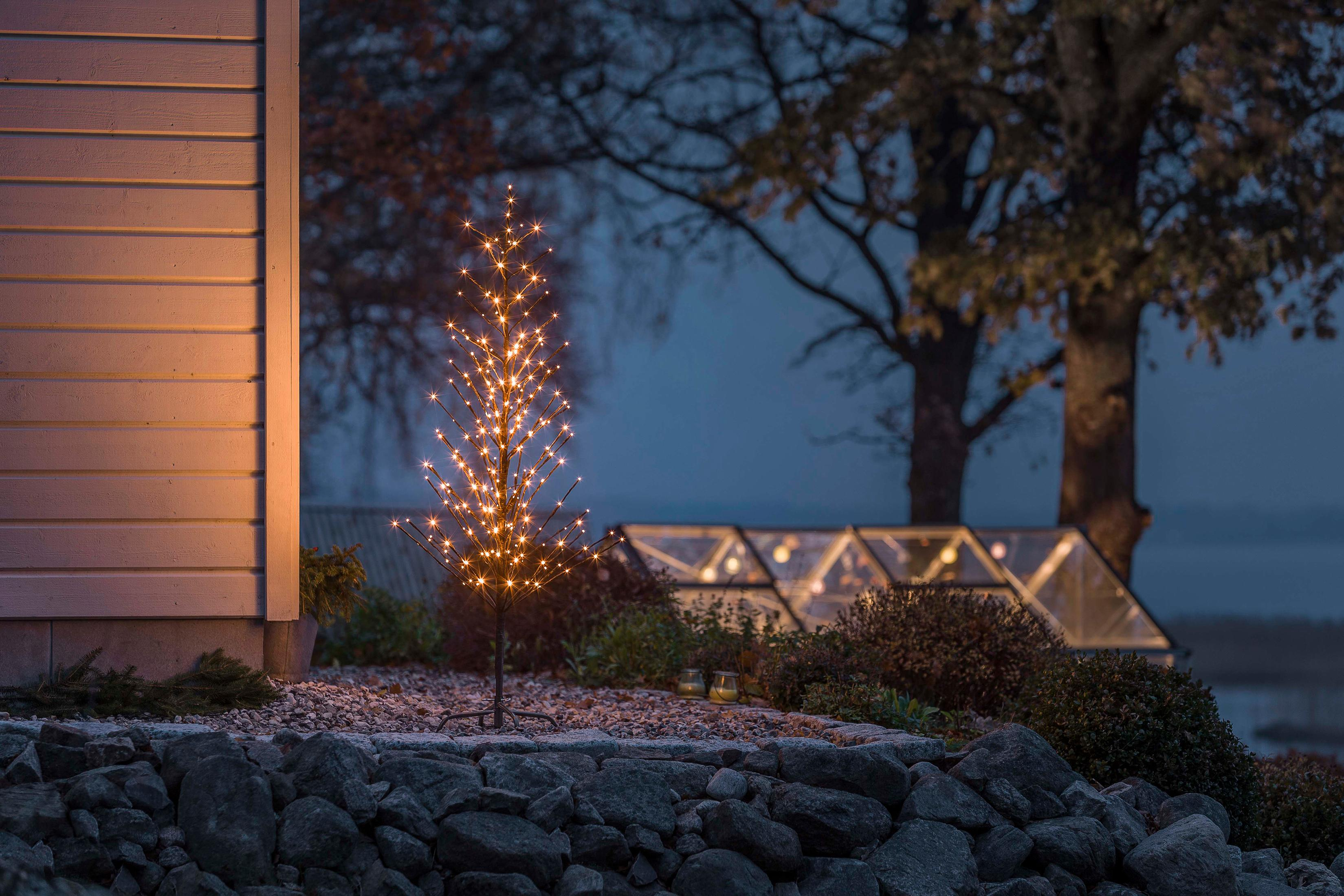 Ein Weihnachtsbaum mit Lichtern am Abend. Der Hintergrund ist verschwommen.