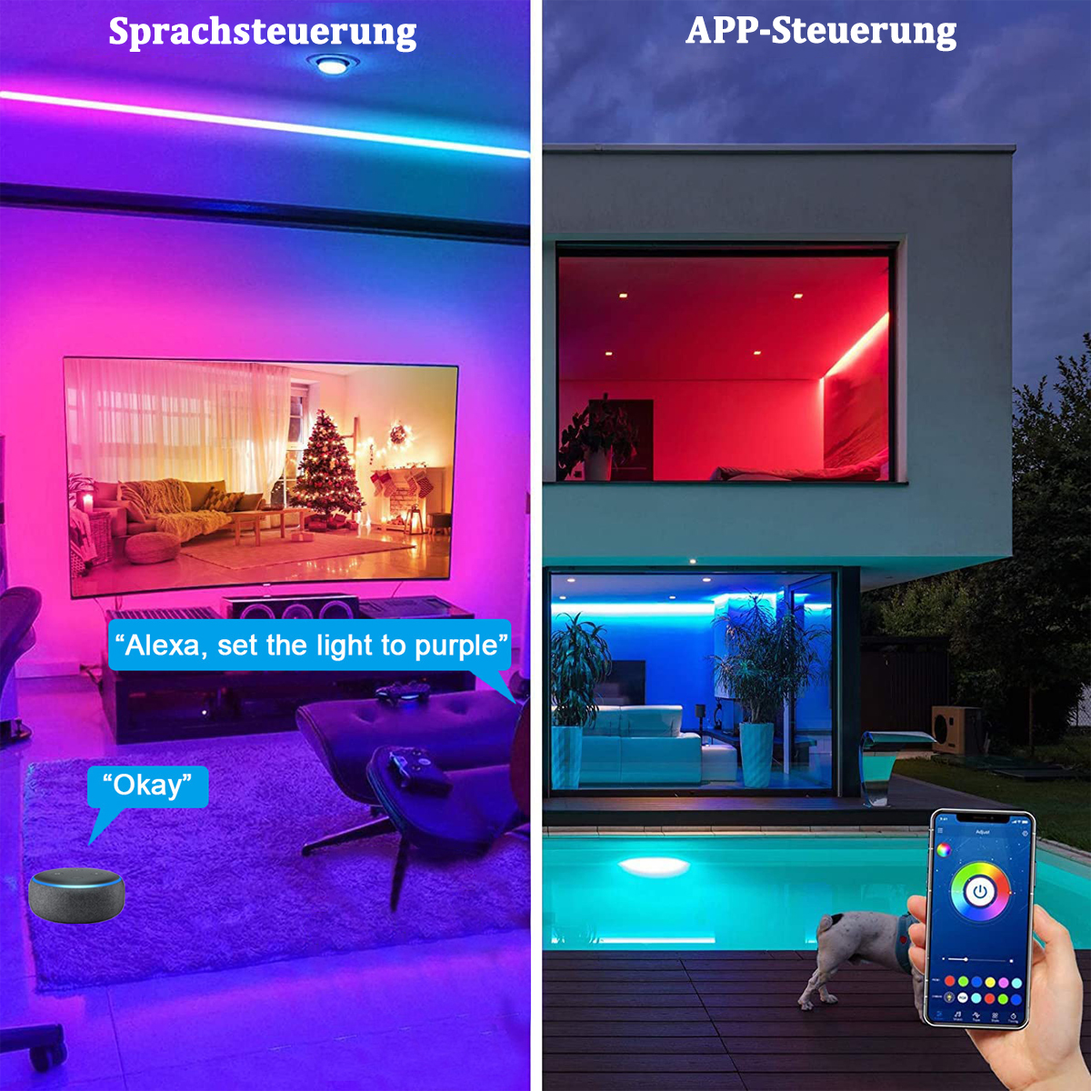 Zwei Szenen mit intelligenter Beleuchtung. Eine zeigt ein Zimmer mit violettem Licht, die andere einen Pool mit blauem Licht.