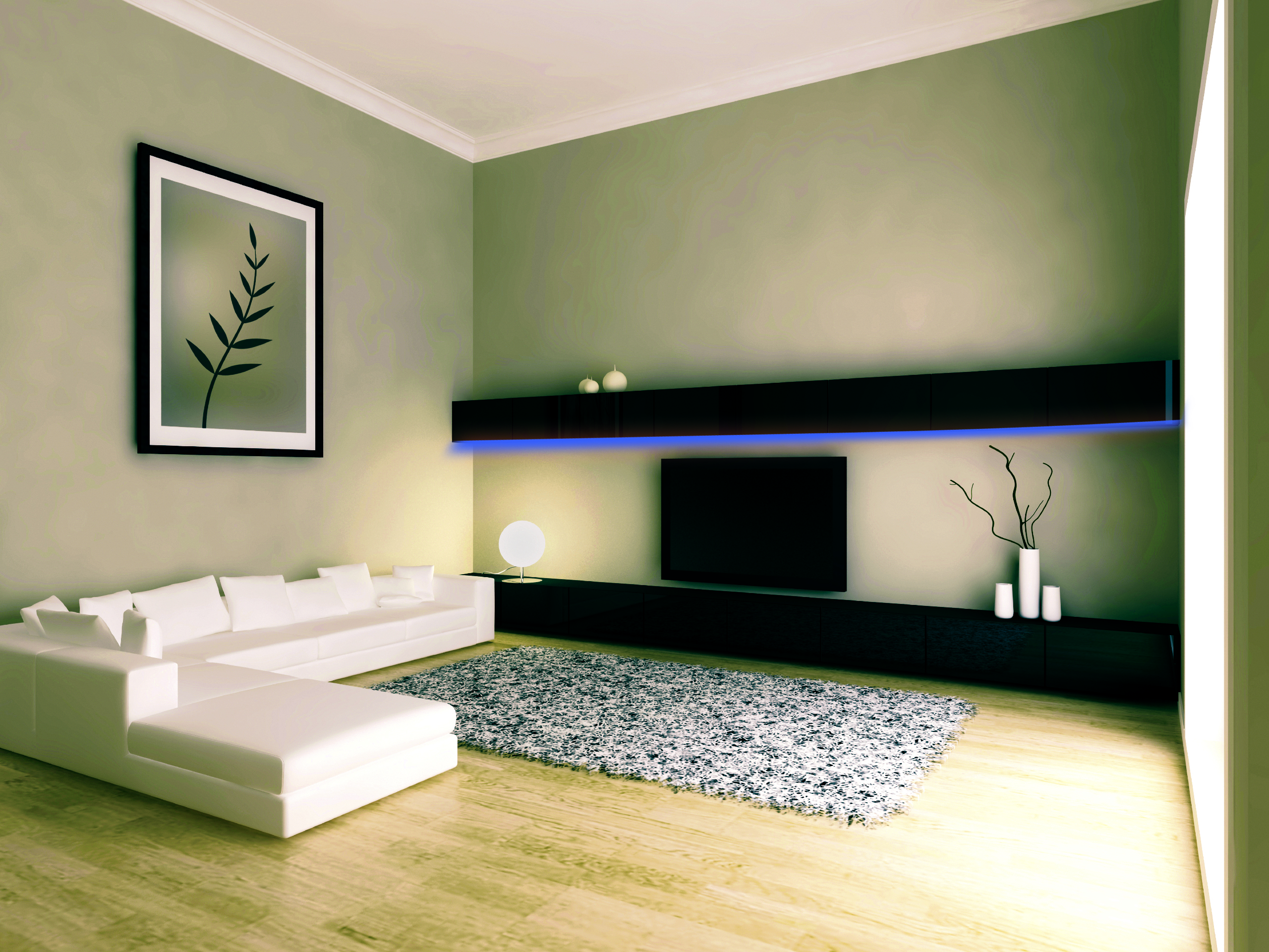 Living room with white sofa, black wall unit, and a framed leaf art. A rug is on wooden floor.