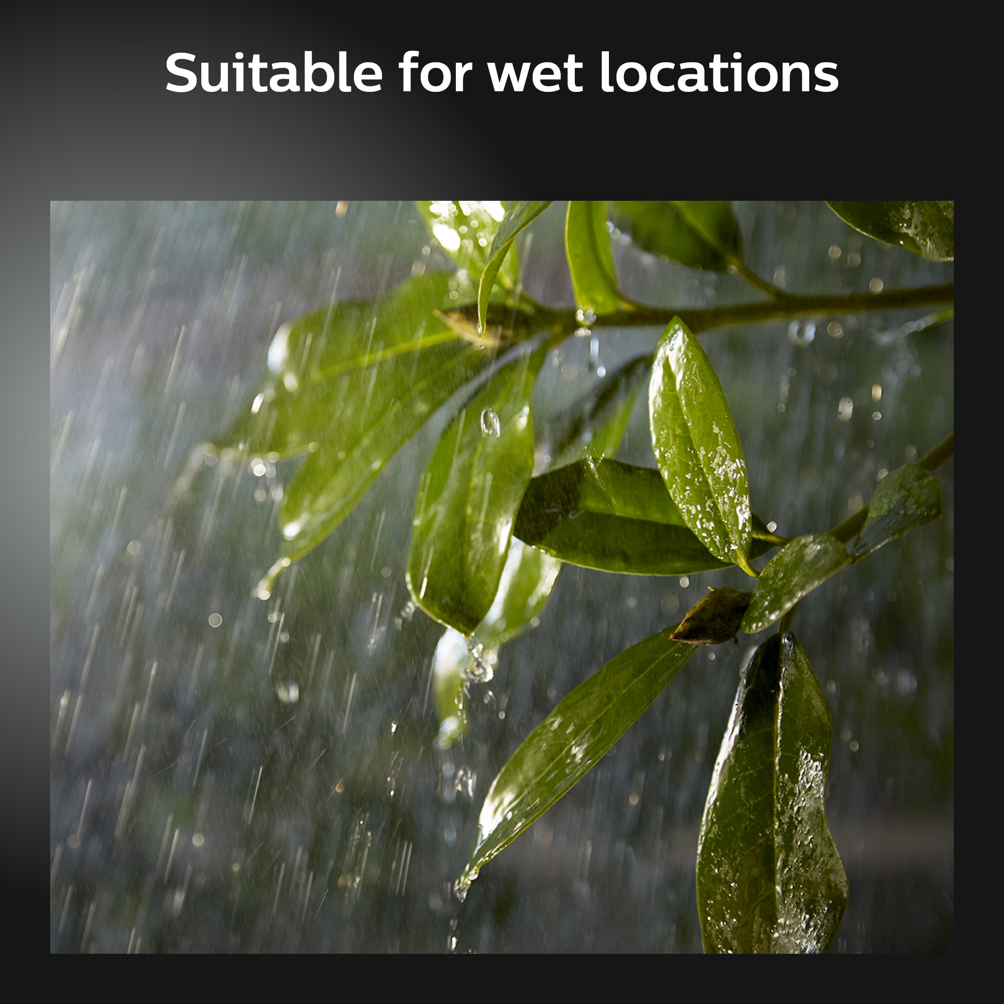 Feuilles vertes sous la pluie. Le texte indique : Convient aux endroits humides.