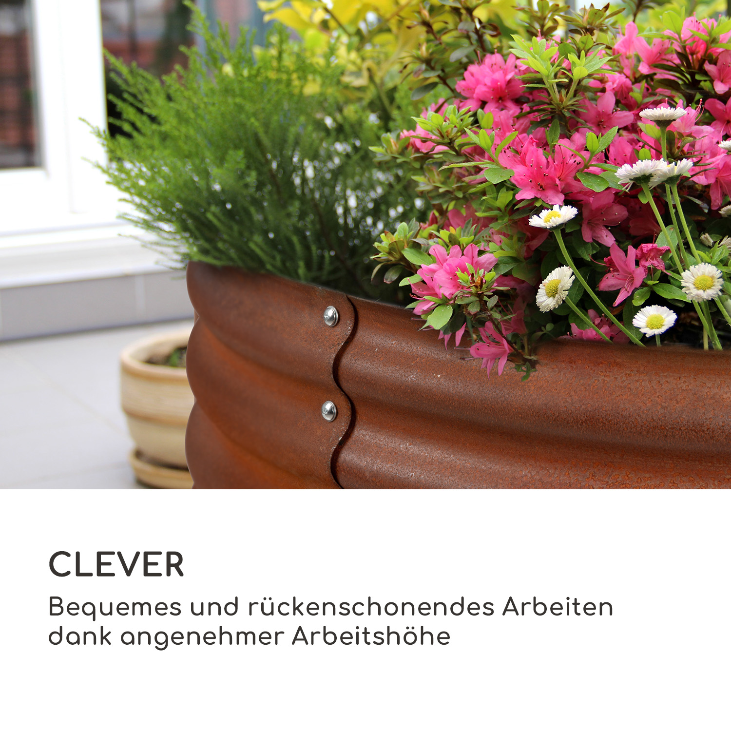 Metallpflanzer mit Blumen. Grüne und rosa Blumen in einem rostigen Metallpflanzer.