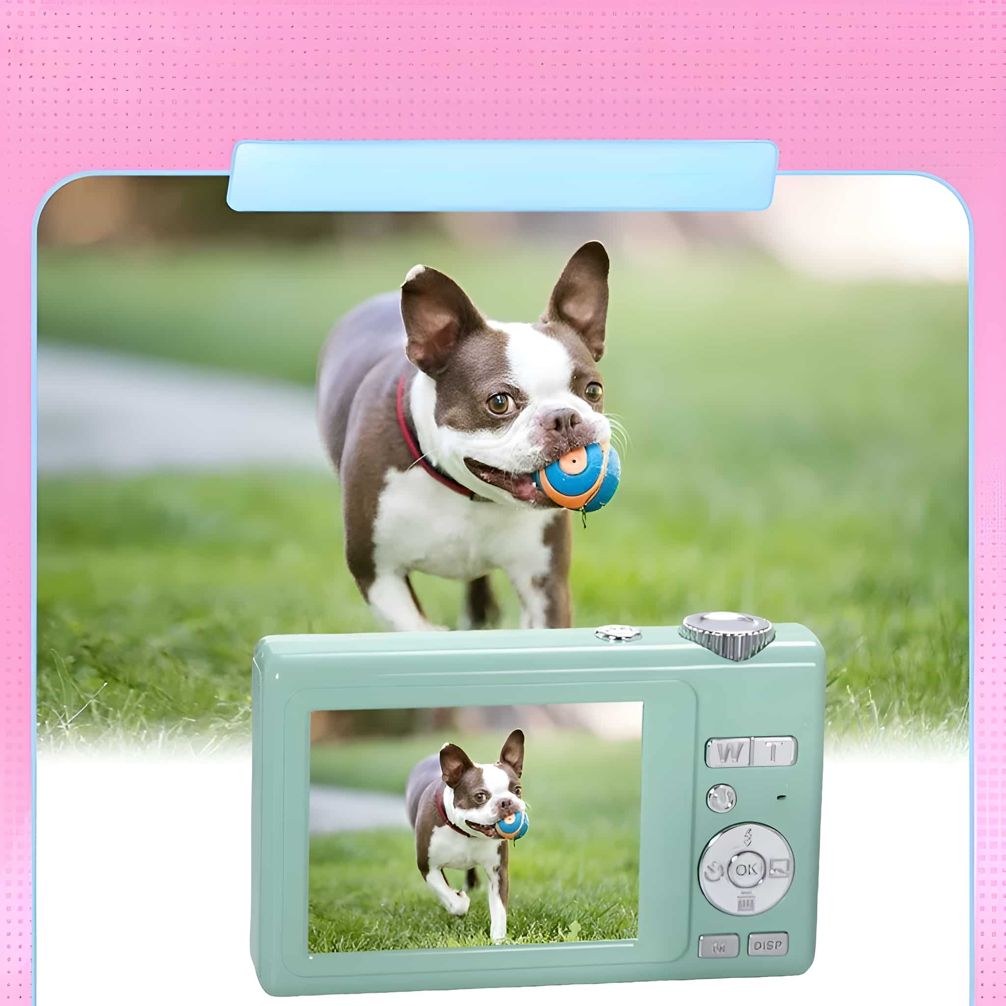 Eine Digitalkamera, die einen Hund mit Ball anzeigt, mit einem Hund auf dem Bildschirm.