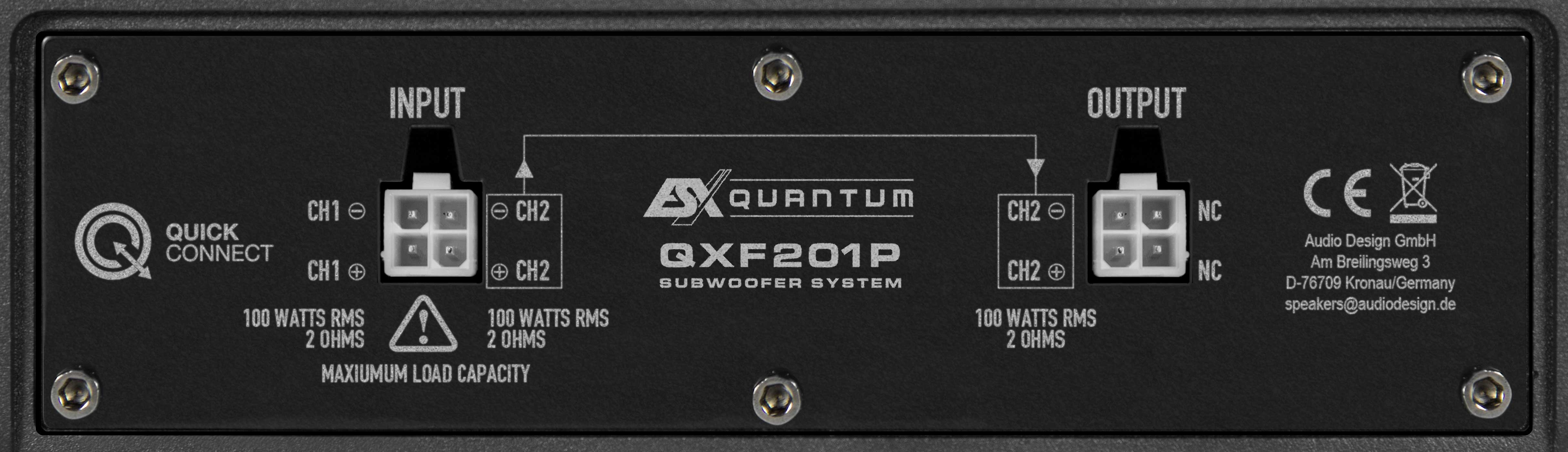 Schwarzes Rückwand des Subwoofersystems. Hat Eingangs-, Ausgangs- und andere Anschlüsse.