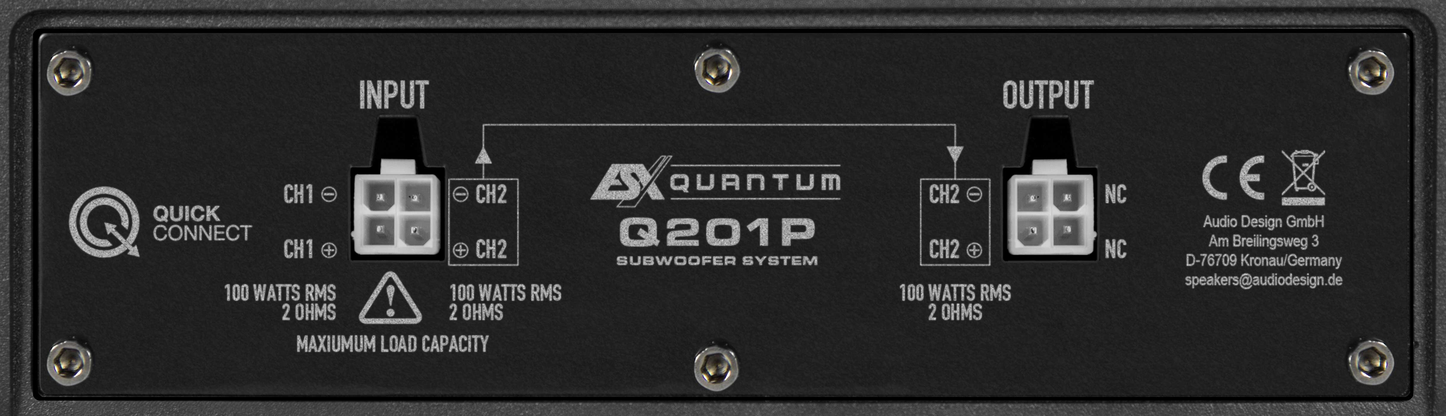 Nahaufnahme der Rückseite eines schwarzen Subwoofersystems mit Eingangs- und Ausgangsanschlüssen und Beschriftungen.