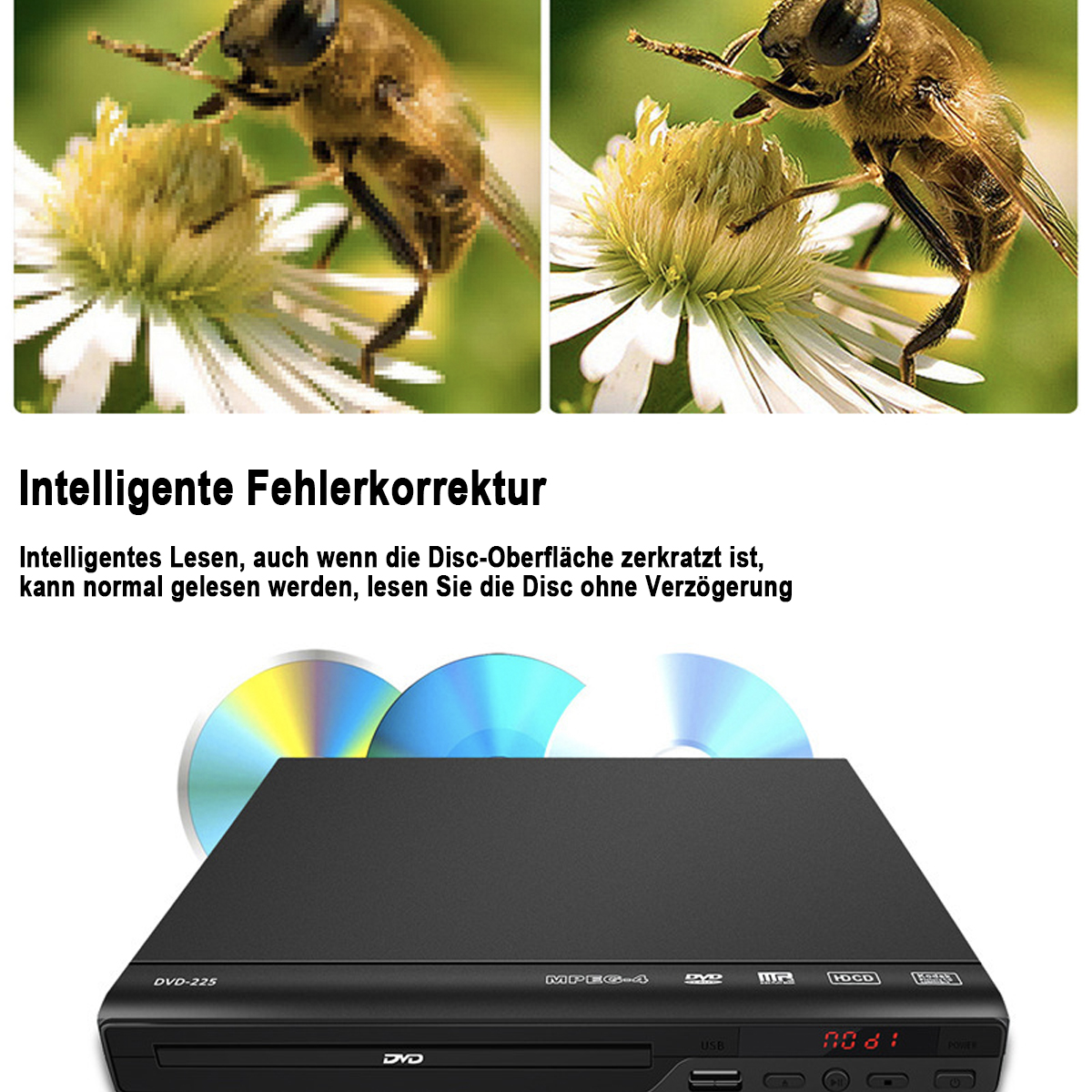 Ein DVD-Player mit einem Bienenbildvergleich. Eine Disc wird gezeigt, mit Text zur Fehlerkorrektur.