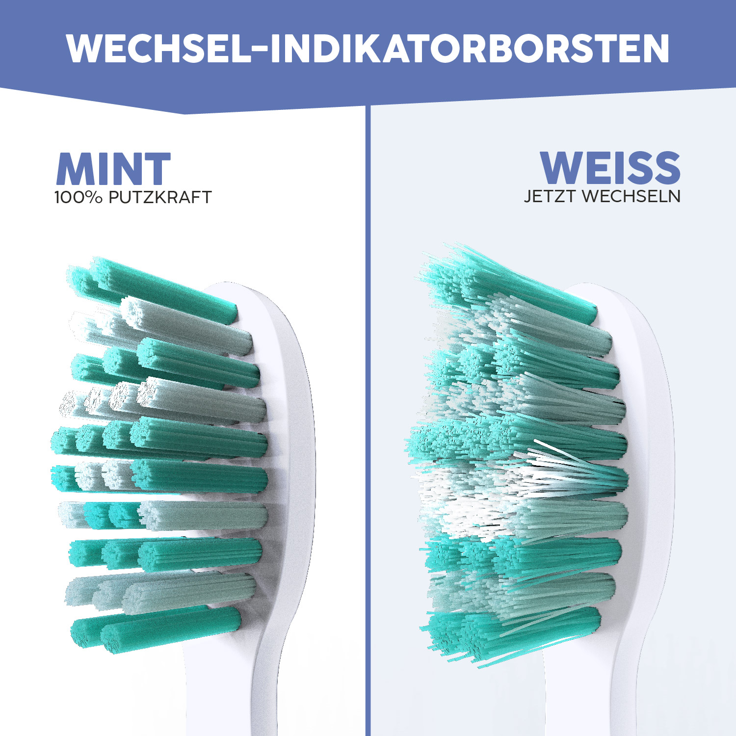 Zwei Zahnbürstenköpfe, einer mint, einer weiß, zeigen Borstenabnutzung.