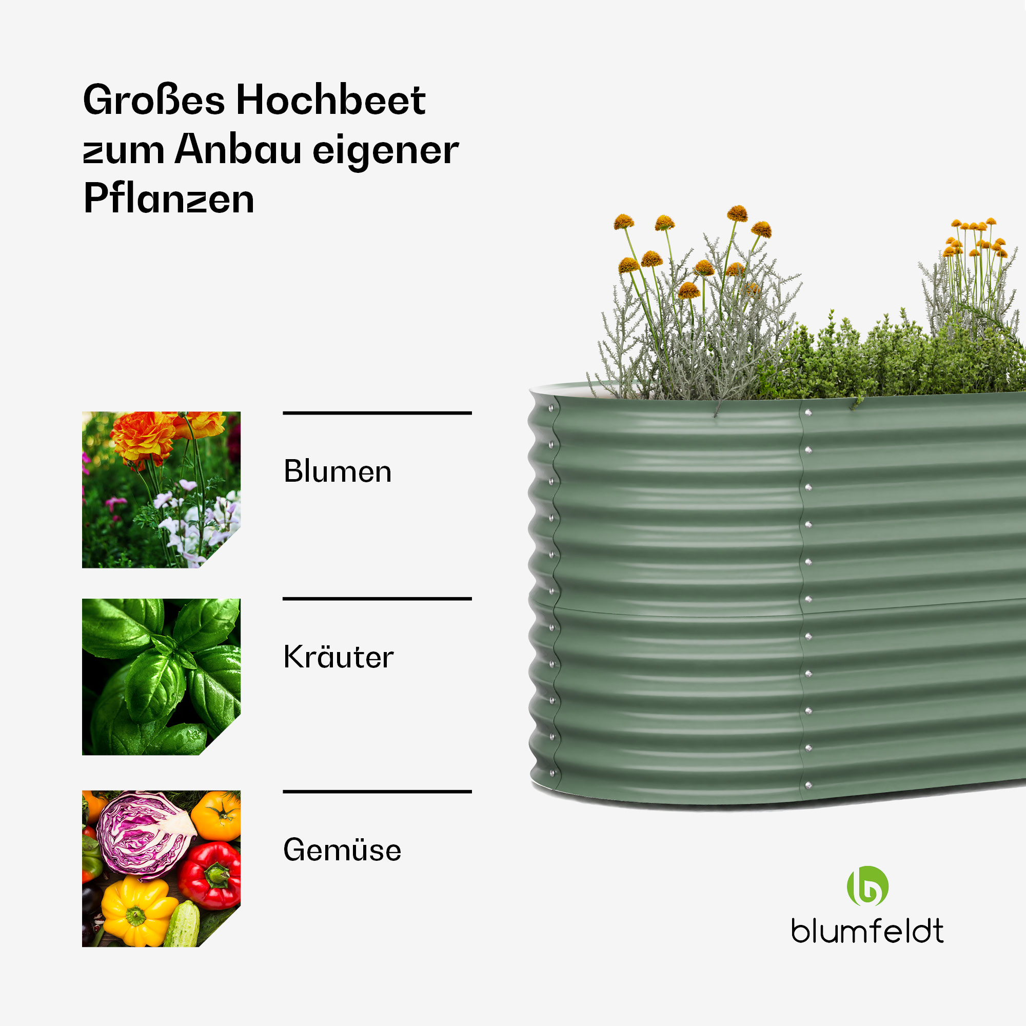Grünes Hochbeet mit Pflanzen und Bildern von Blumen, Kräutern und Gemüse.