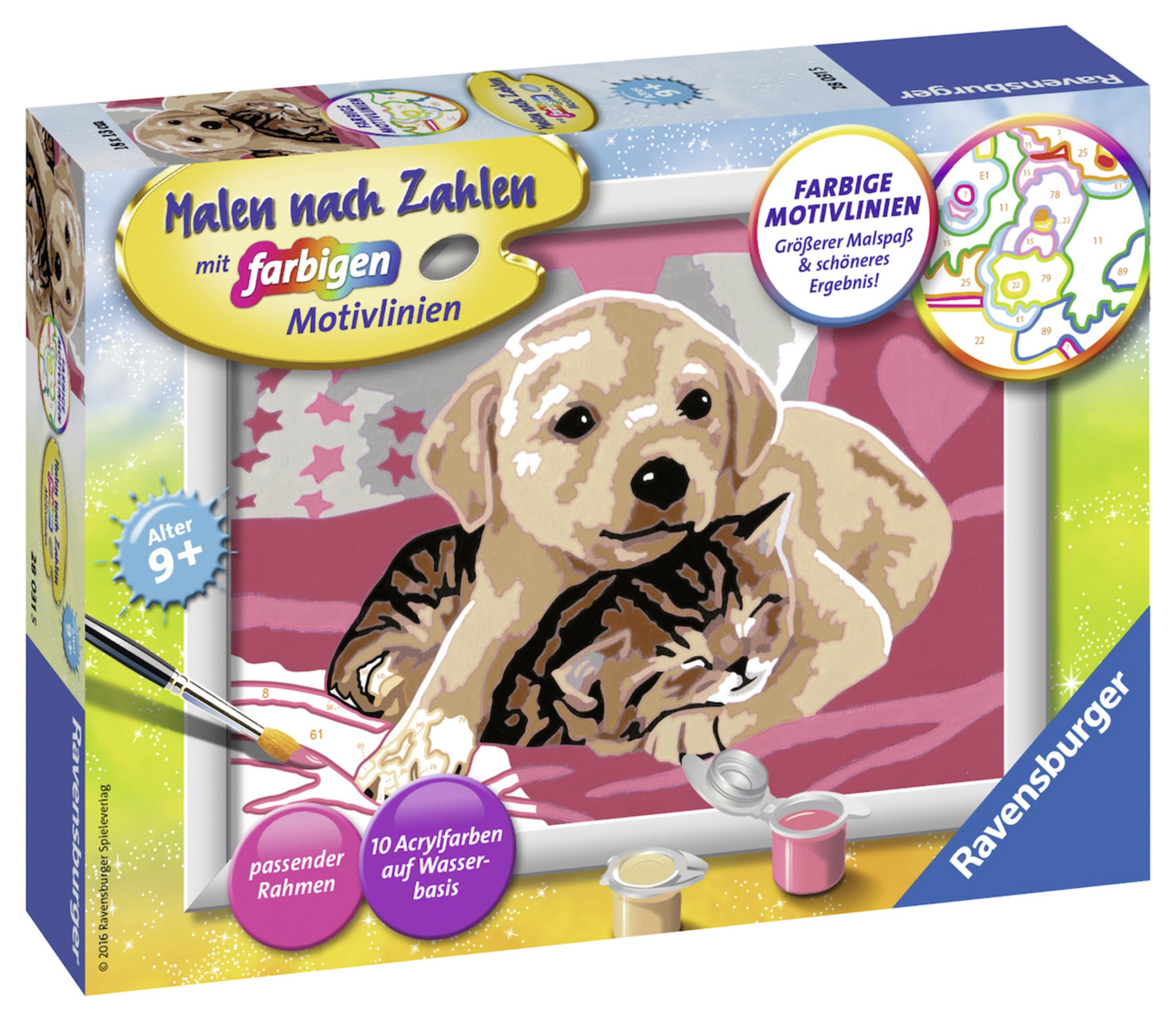 Schachtel eines Malen-nach-Zahlen-Sets. Ein Welpe und ein Kätzchen sind das Motiv.